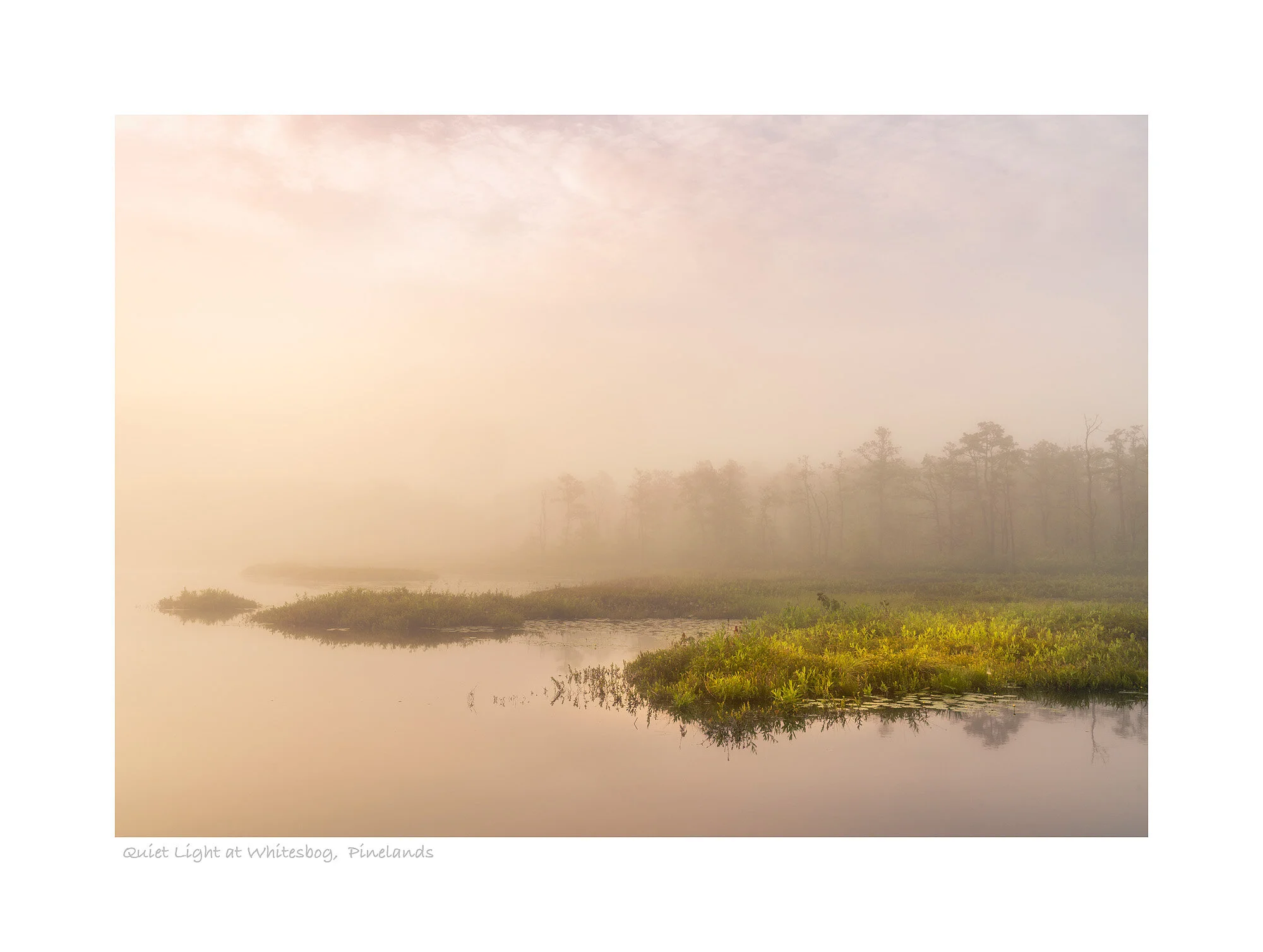 20061969_SonyA7R3_Master_W LR Mods_No Spot.jpg