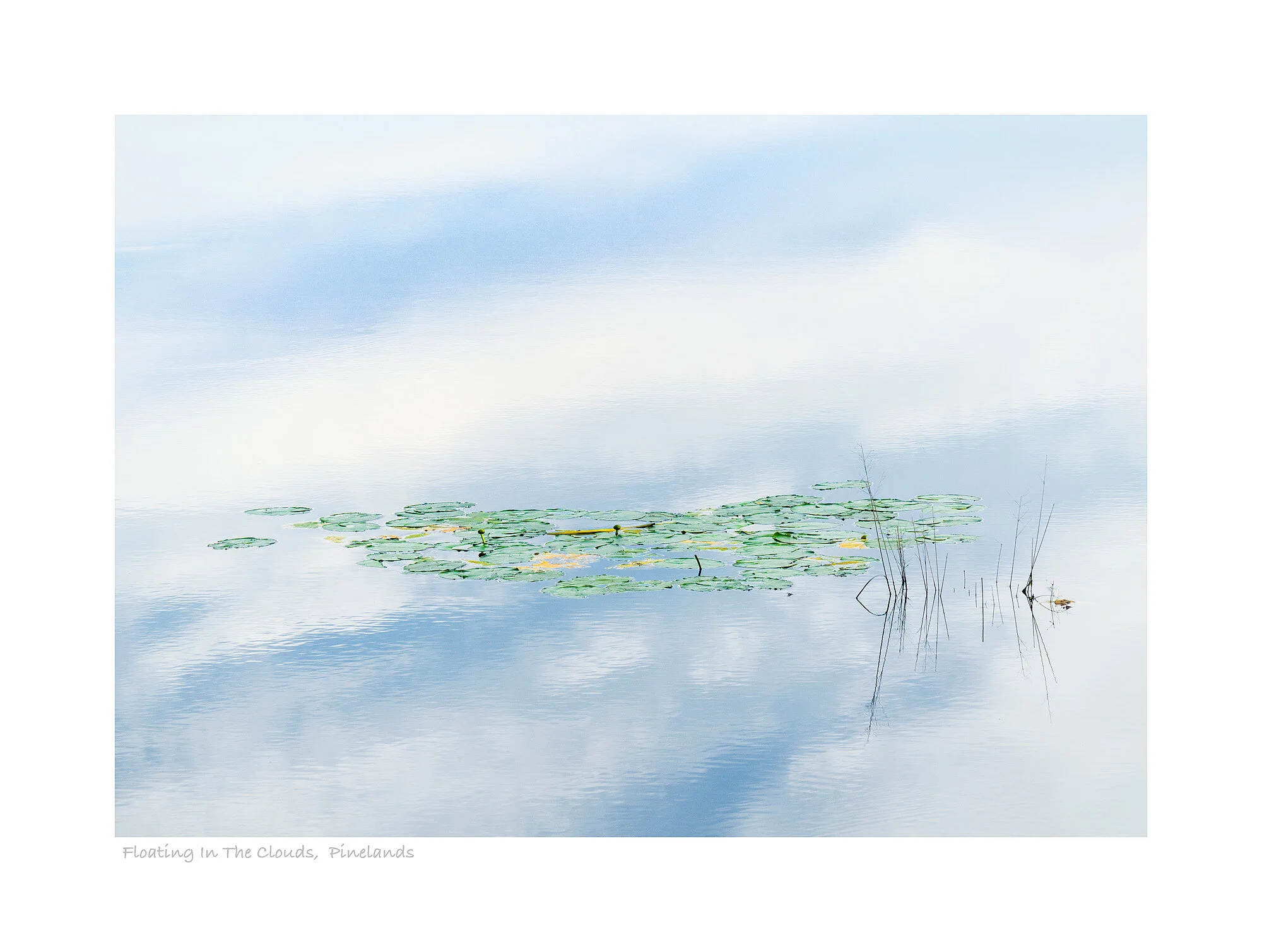 20061927_SonyA7R3_Raw_Master.jpg