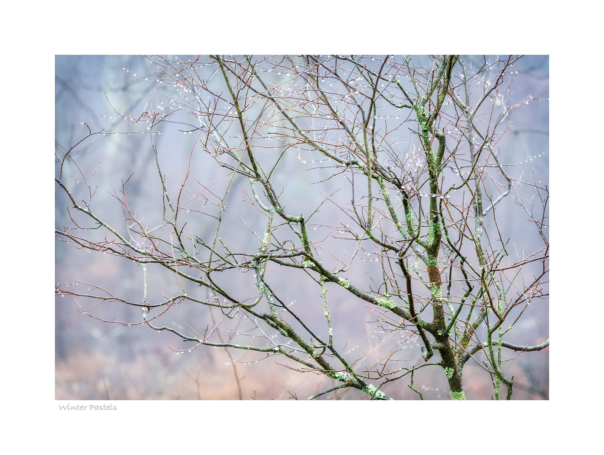 19121296_SonyA7R3_Master.jpg