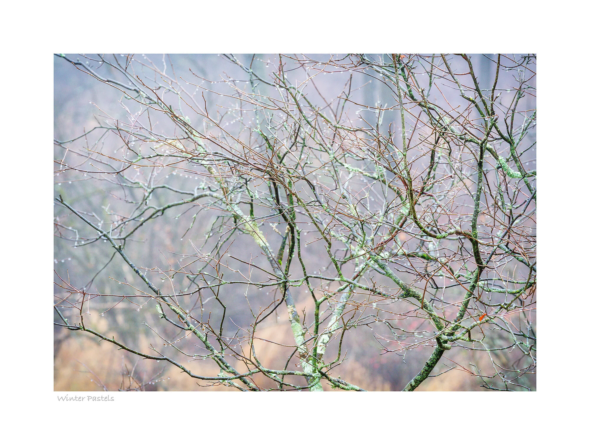 19121298_SonyA7R3_Master.jpg