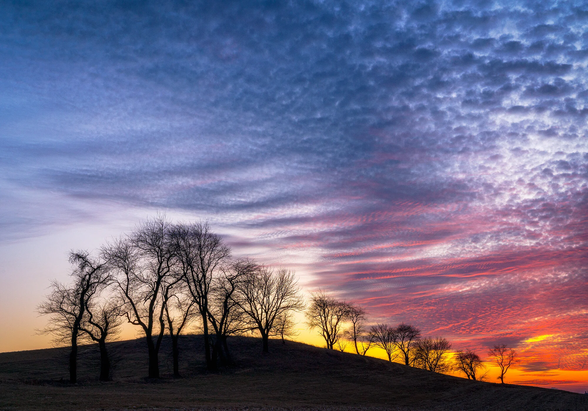 19121477_SonyA7R3_Master.jpg