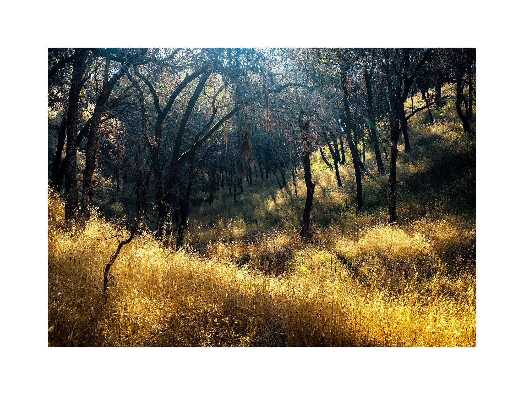 18111889_SonyA7iii_acr_webglow.jpg