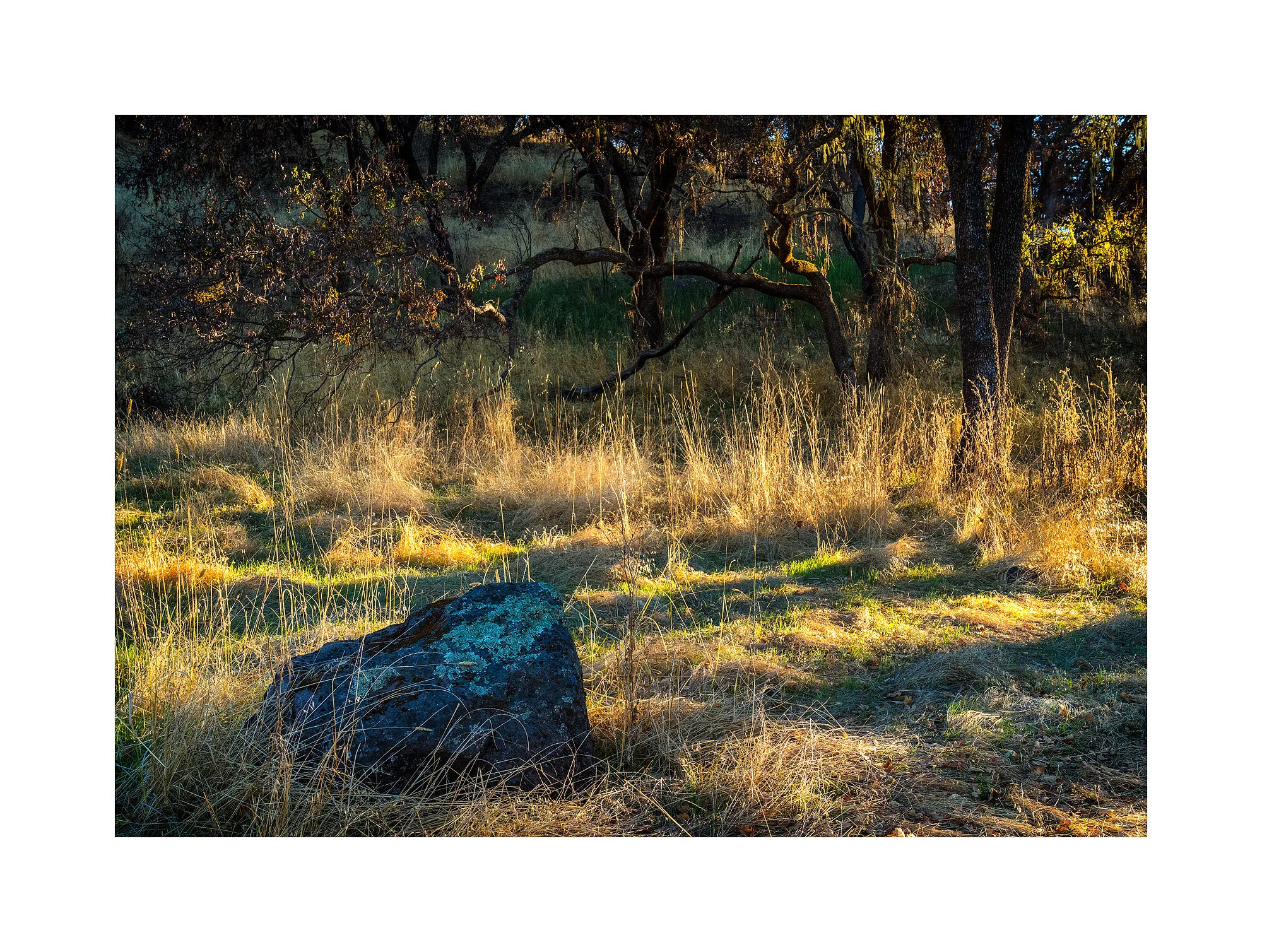 18111733_SonyA7iii_acr_webglow.jpg