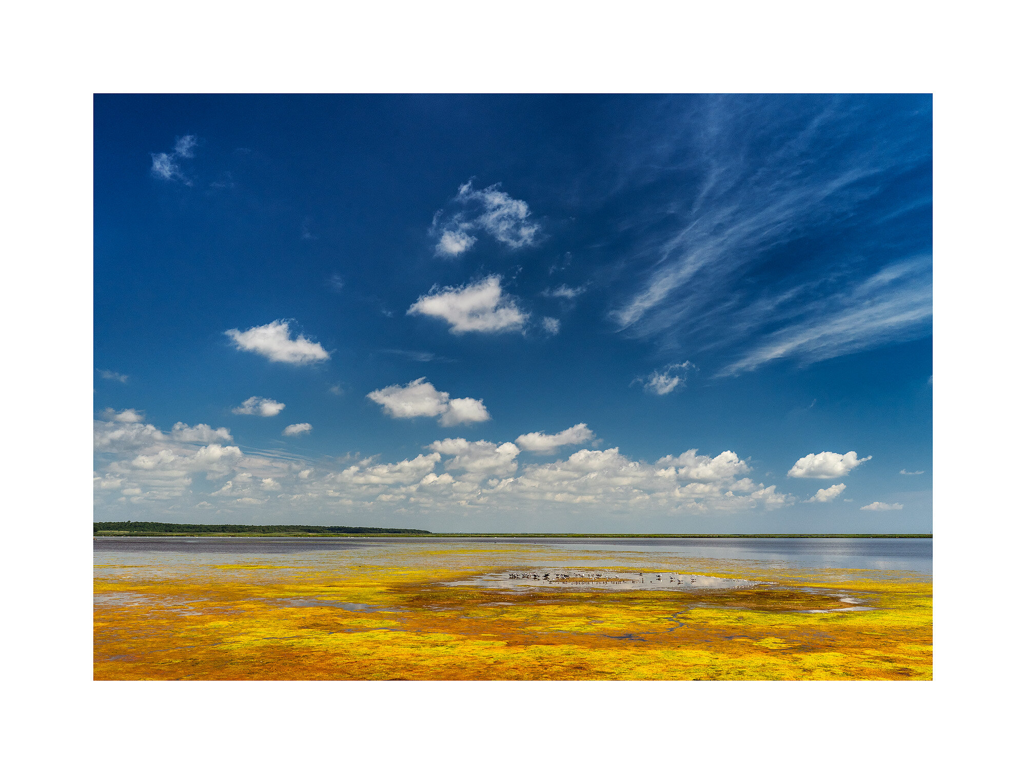 18080942_SonyA7iii_acr_web.jpg