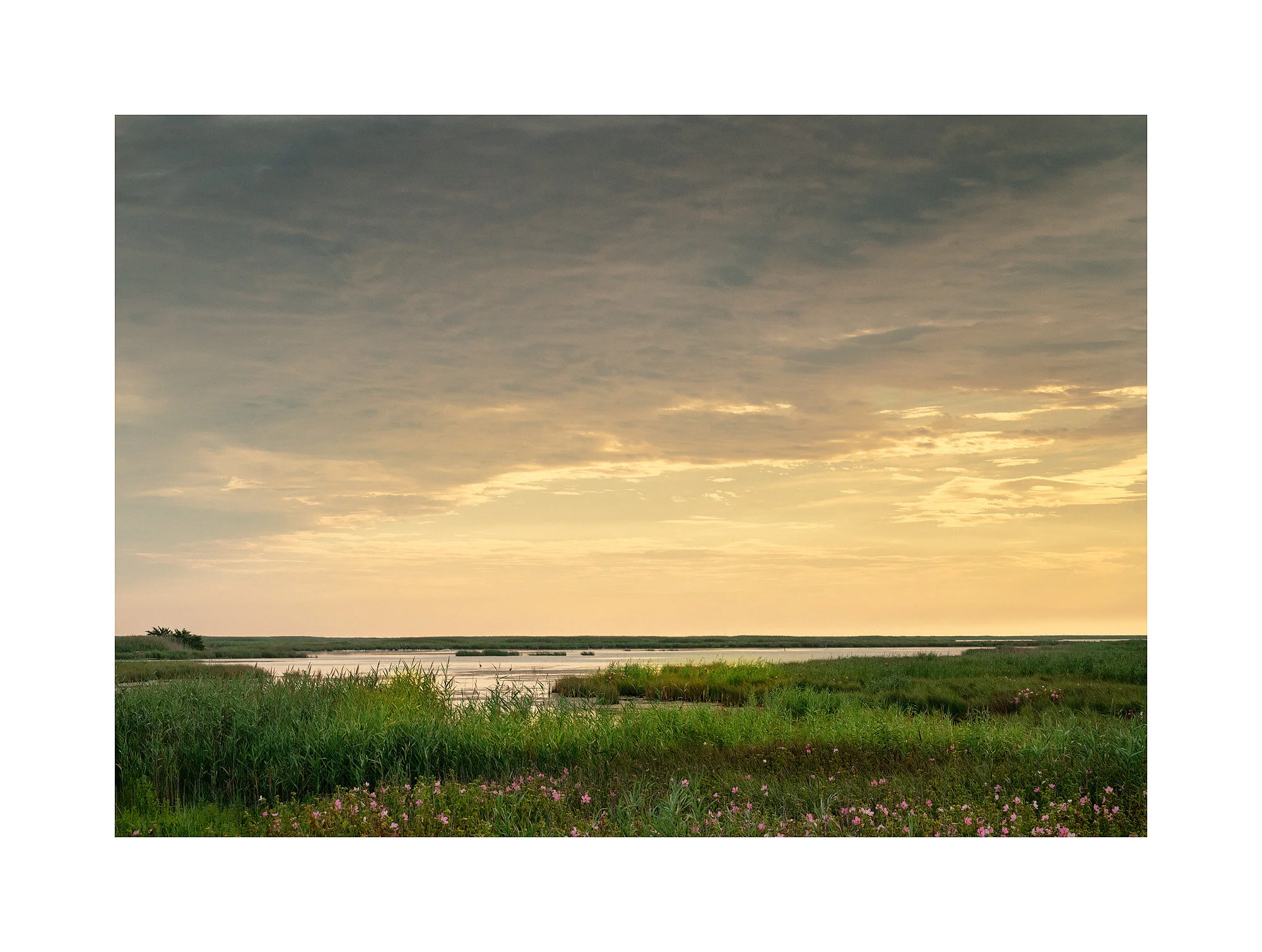 18080850_SonyA7iii_acr_web.jpg
