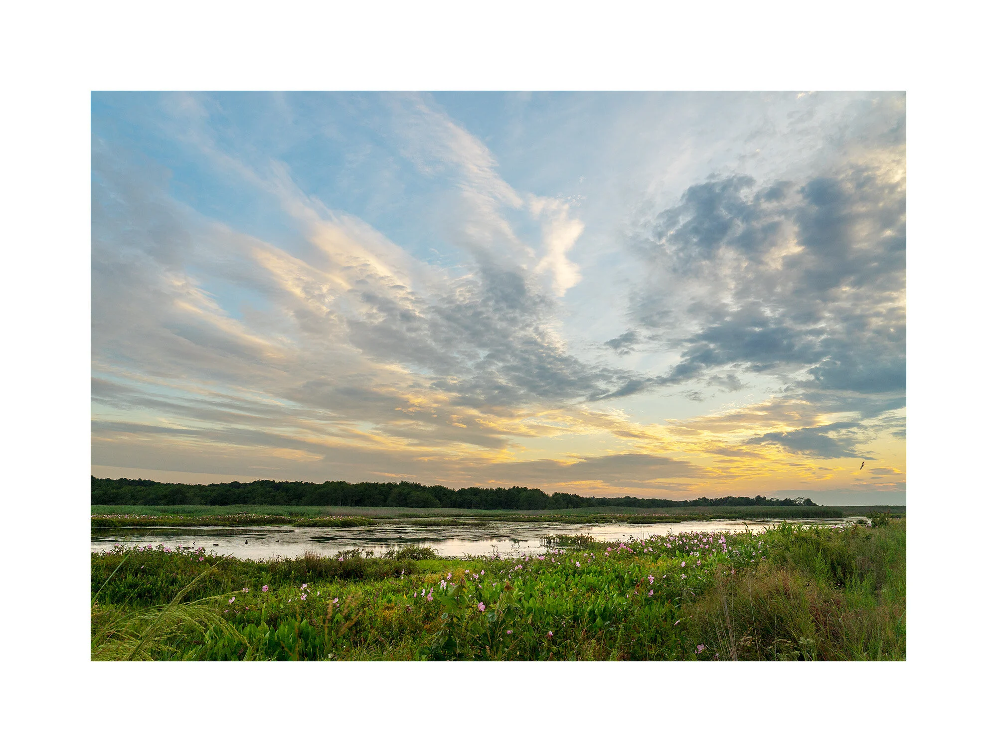 18080806_SonyA7iii_acr_web.jpg
