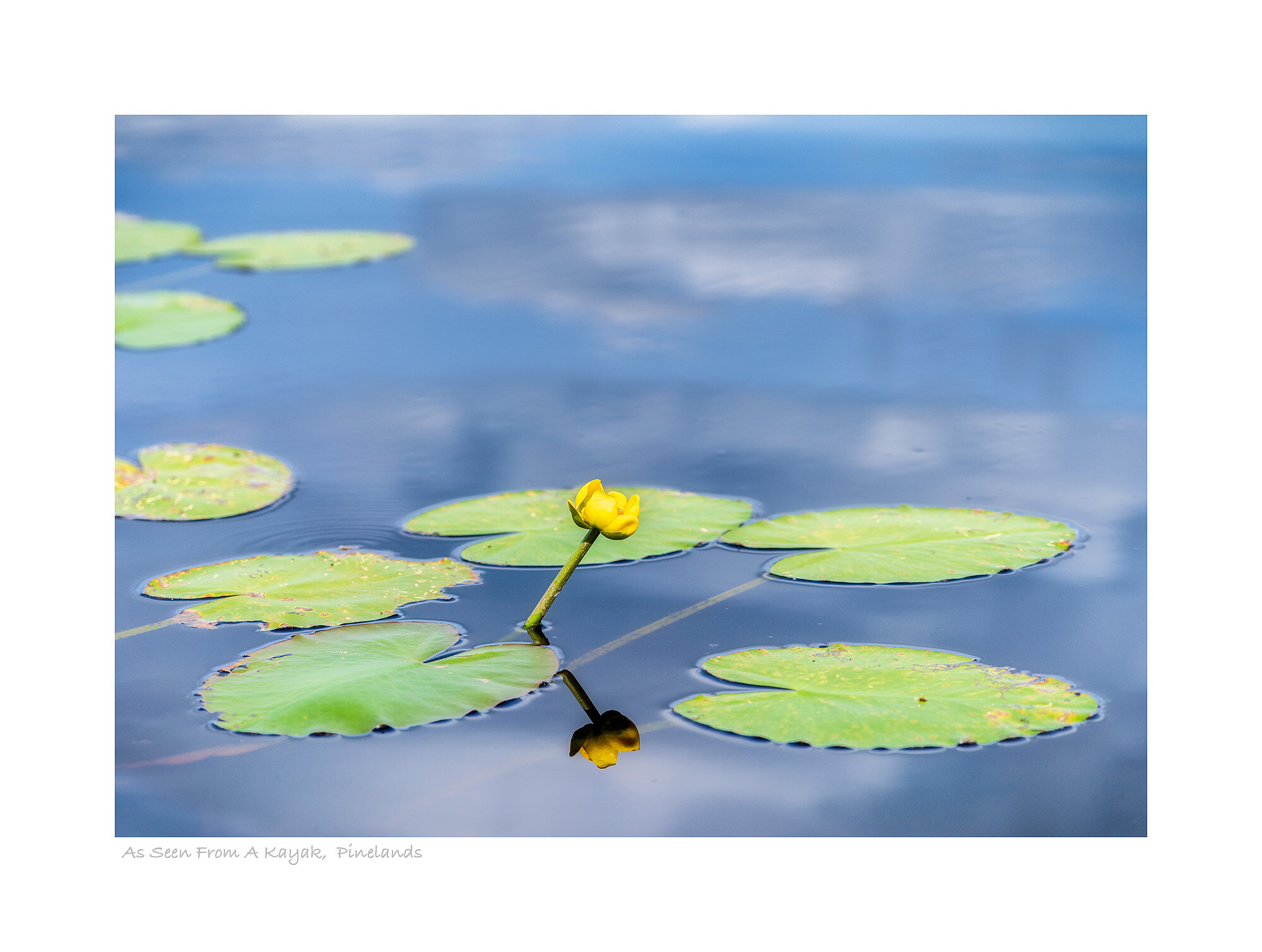 20083197_SonyA73_Master.jpg