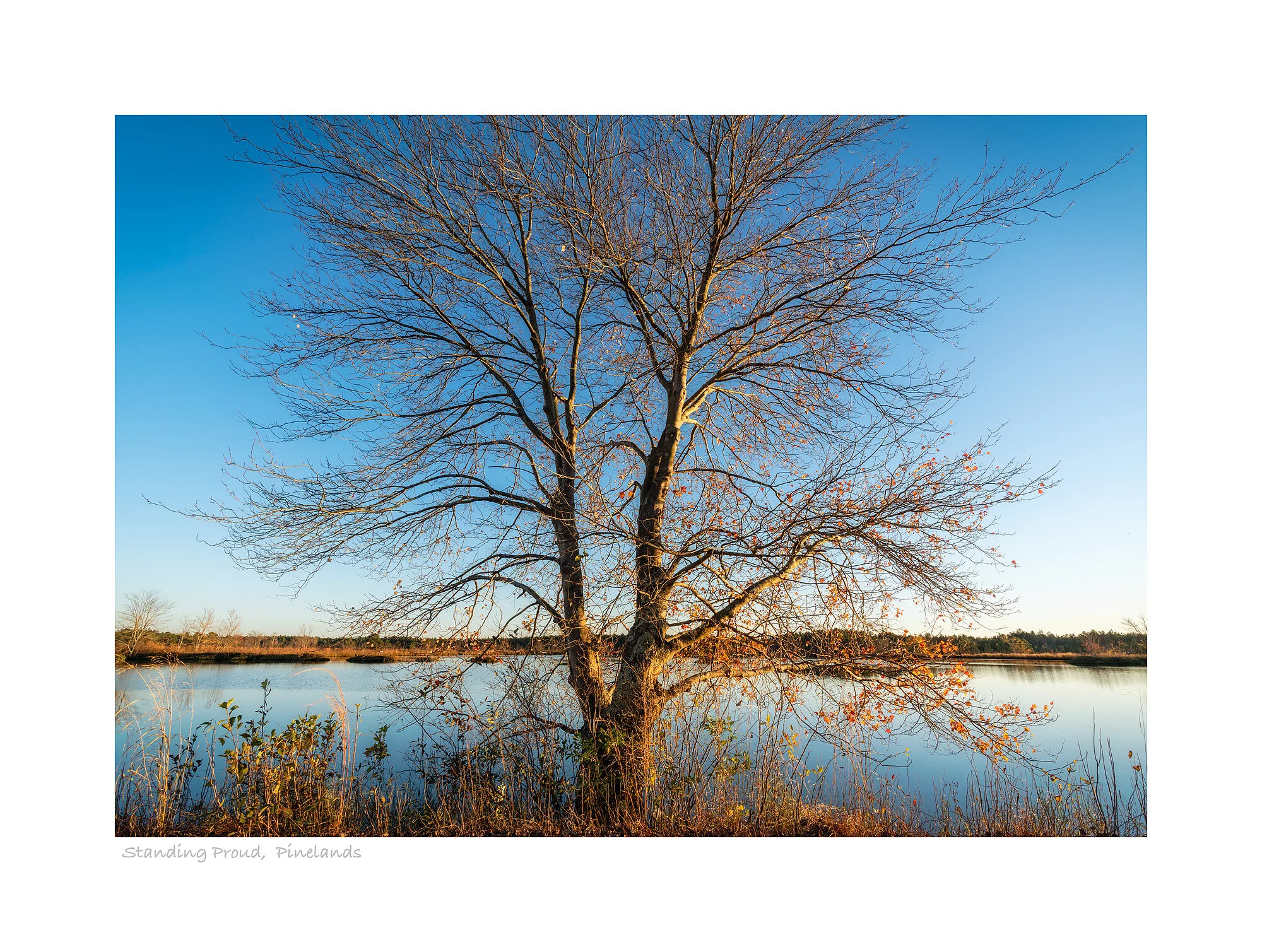 20102517_SonyA7R3_Master.jpg