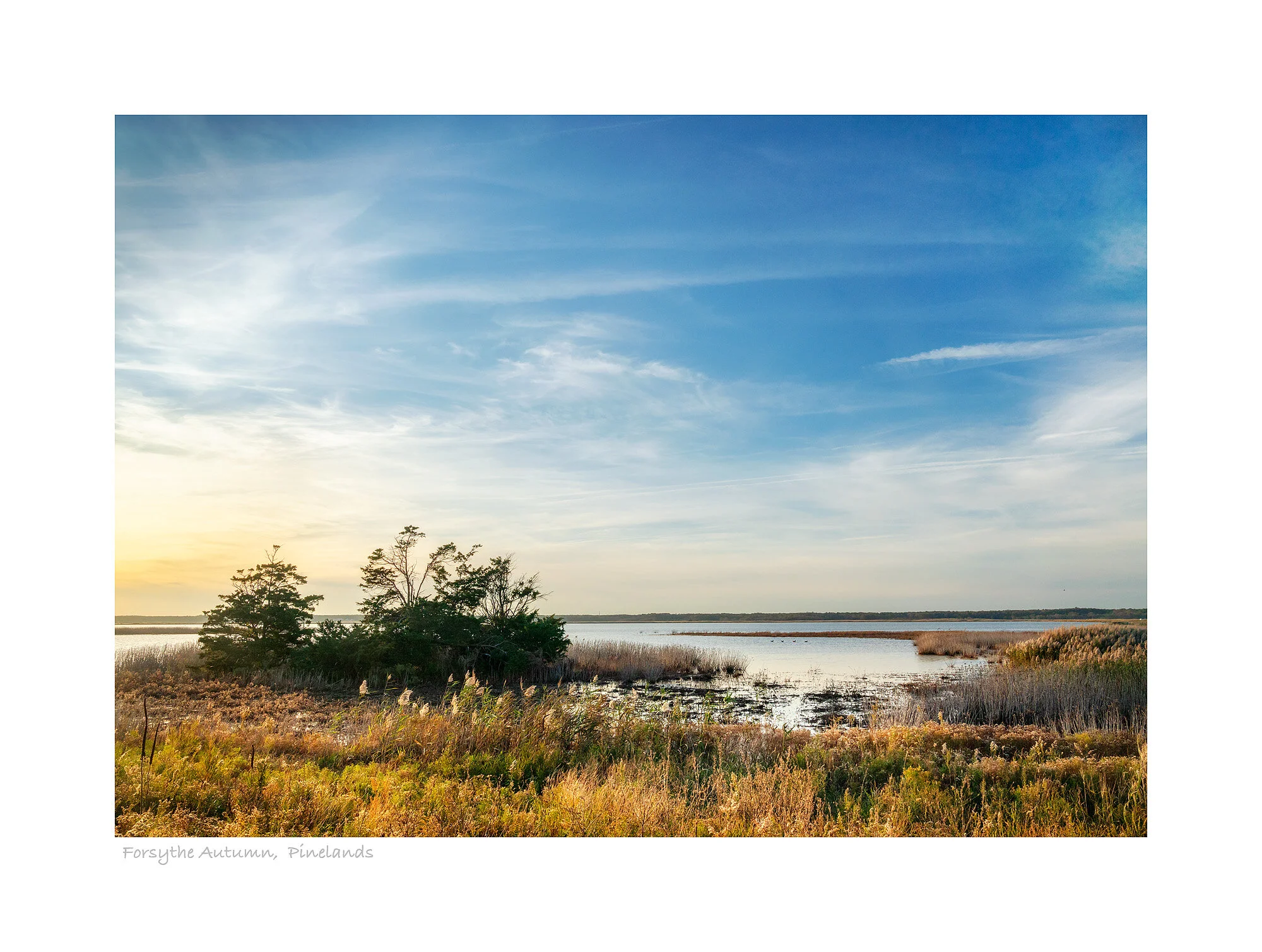 20112655_SonyA7R3_Master.jpg