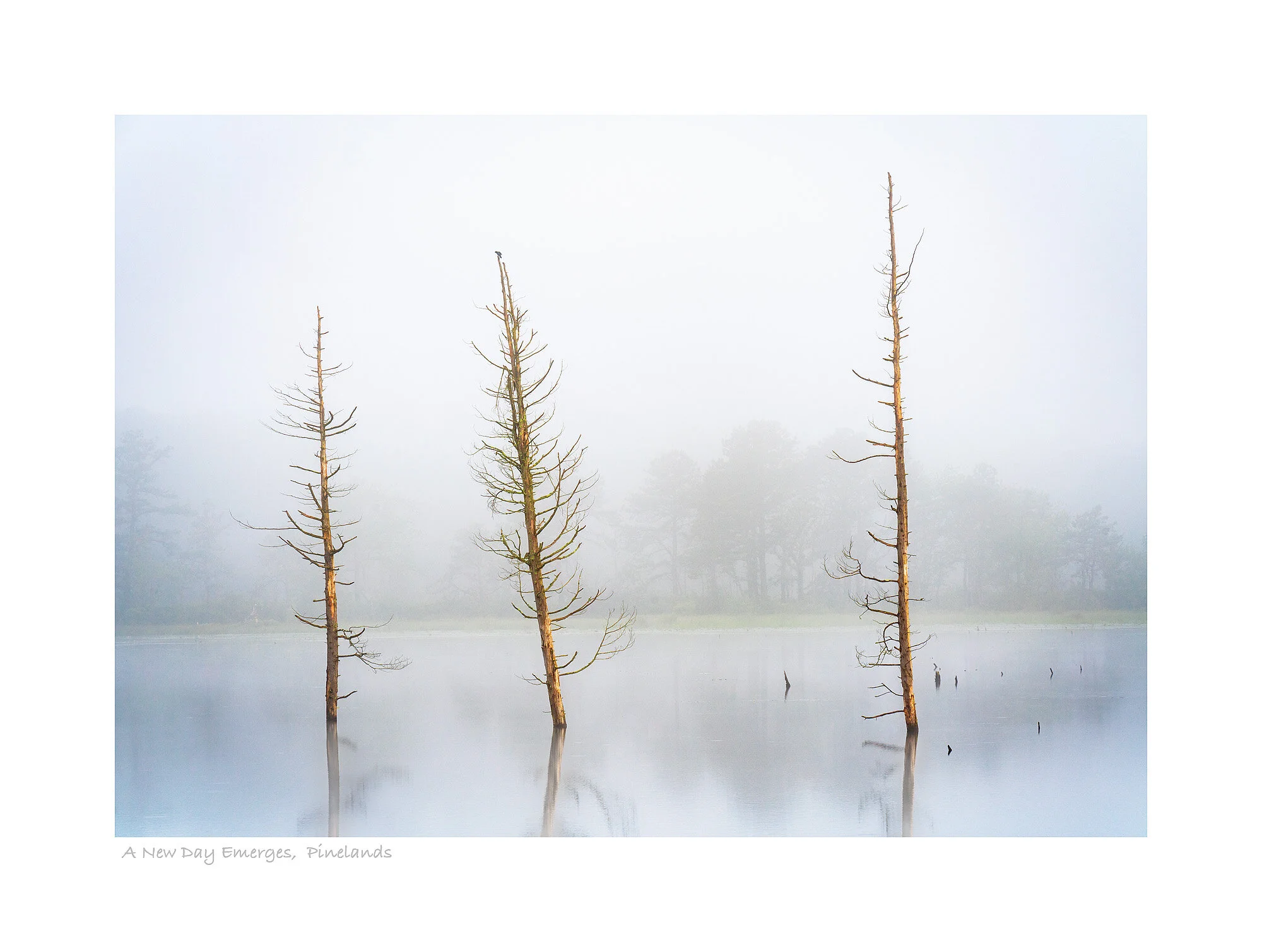 20061760_SonyA7R3_Master.jpg
