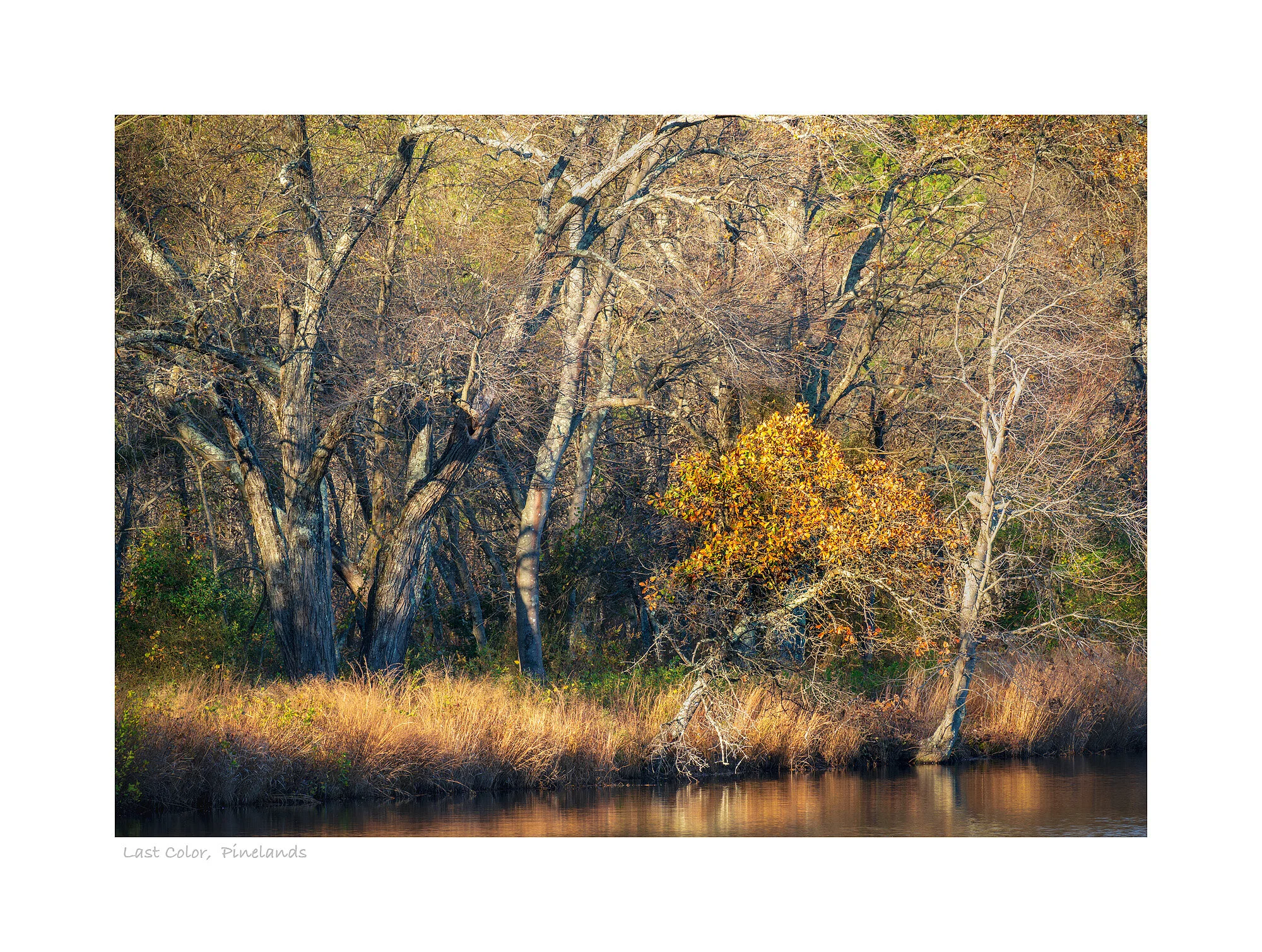 20102484_SonyA7R3_Master.jpg