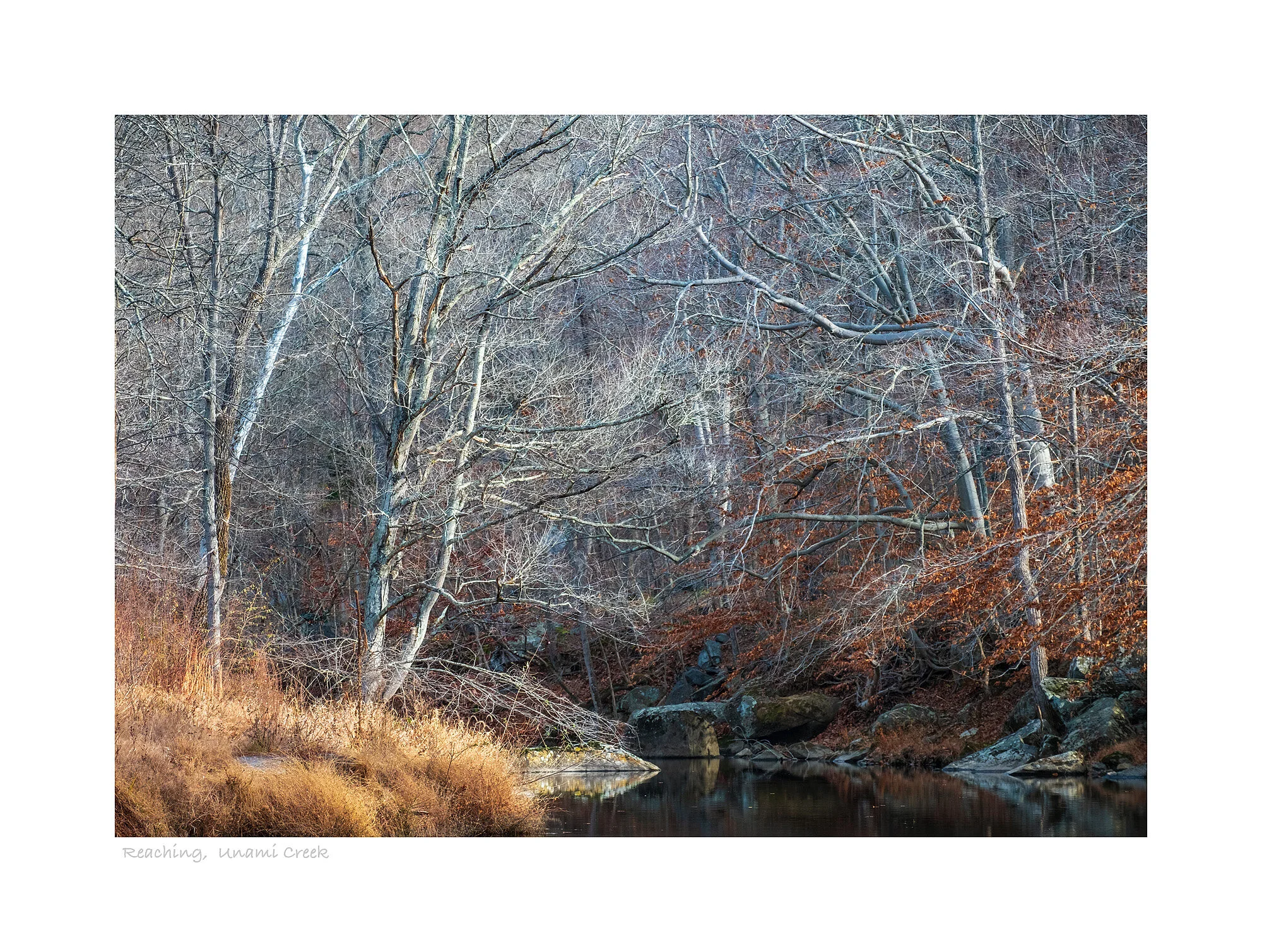 16120445_FujiXT2_NewMaster.jpg