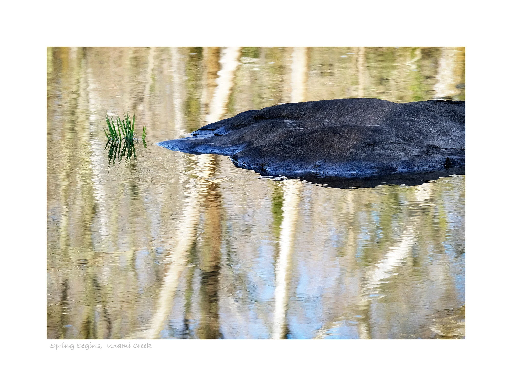 14040016_FujiXT1_acr_webglow.jpg