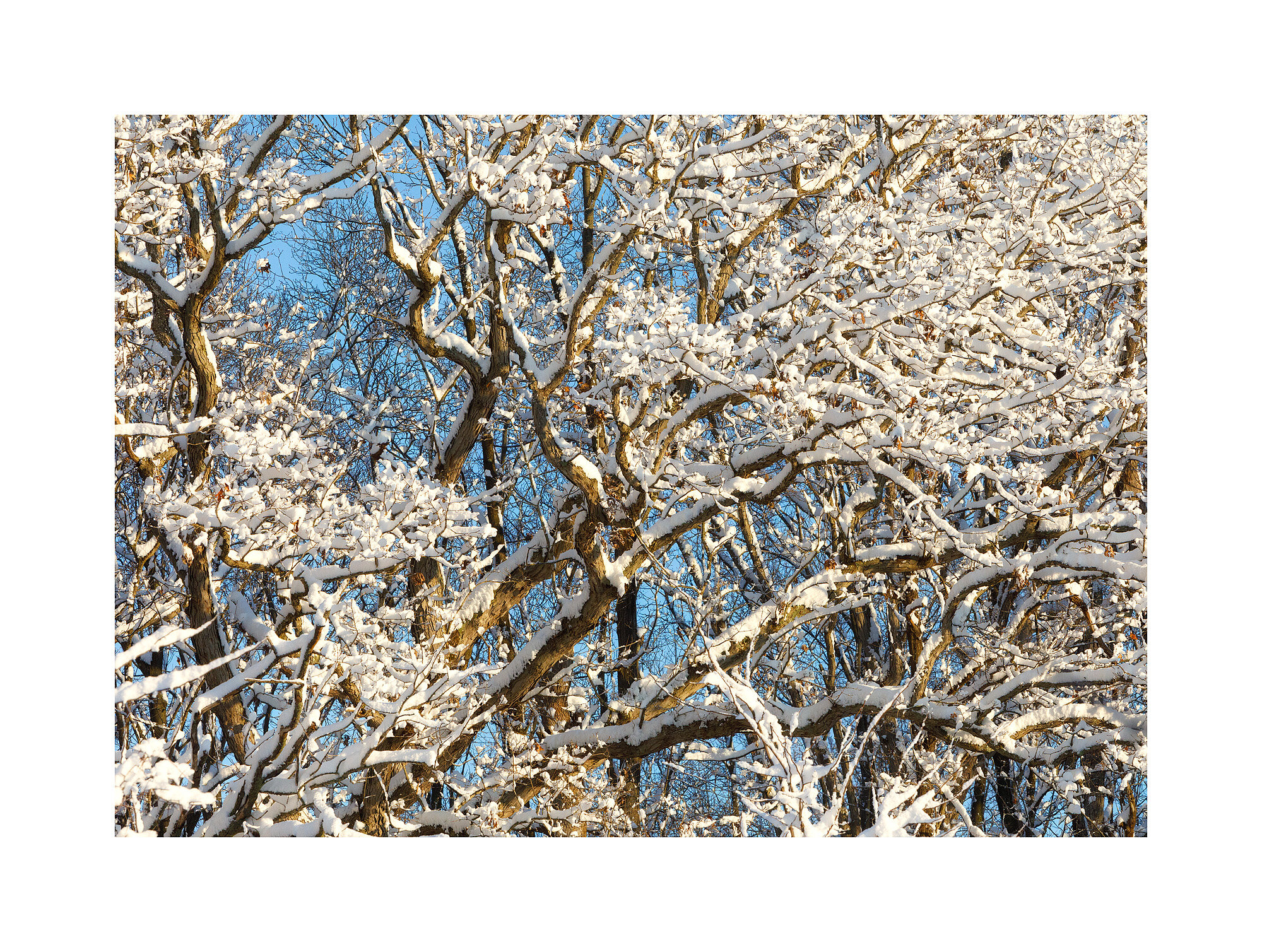 18022231_acr_webglow.jpg