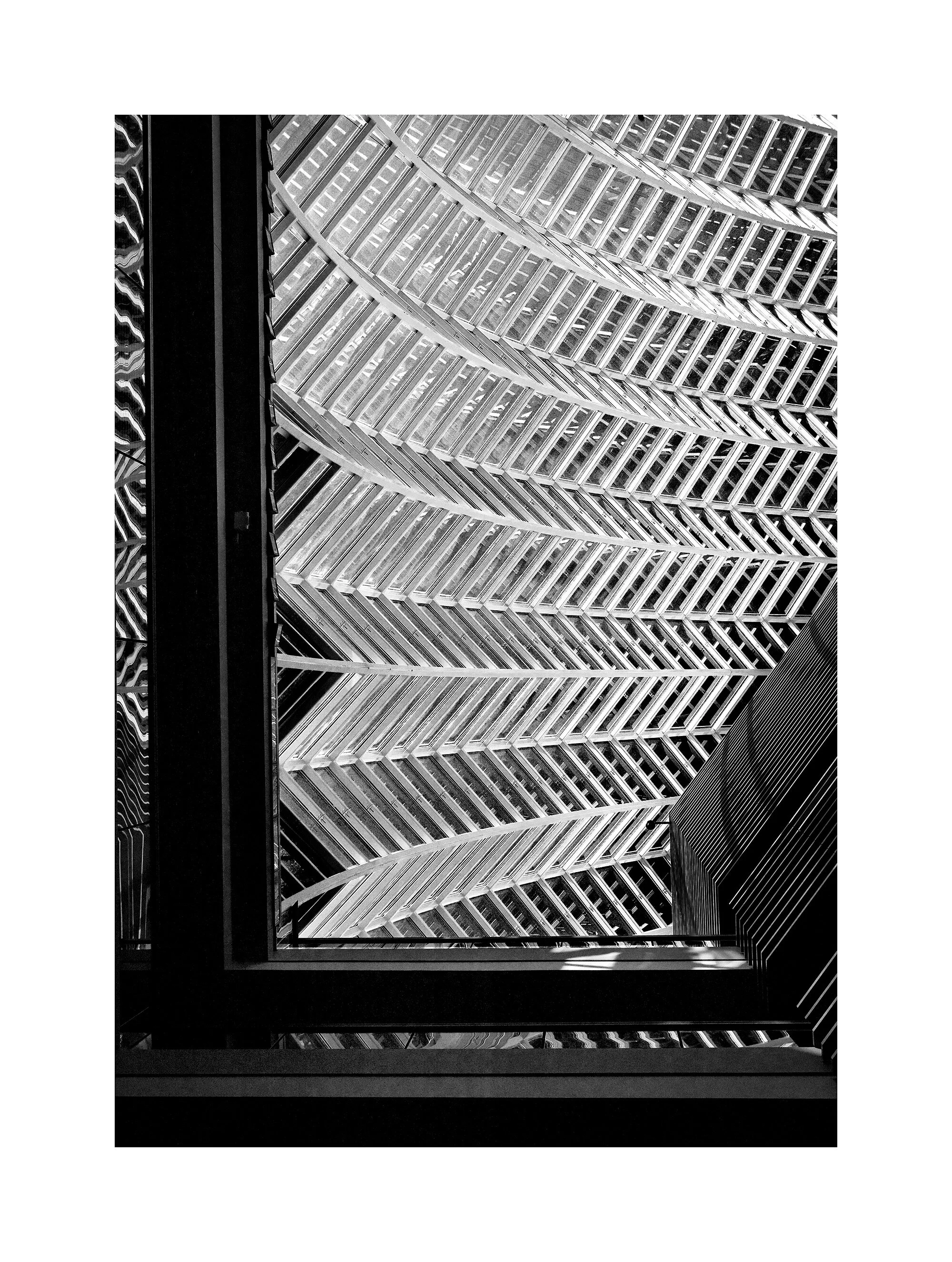 05124933_acr_b&w.jpg