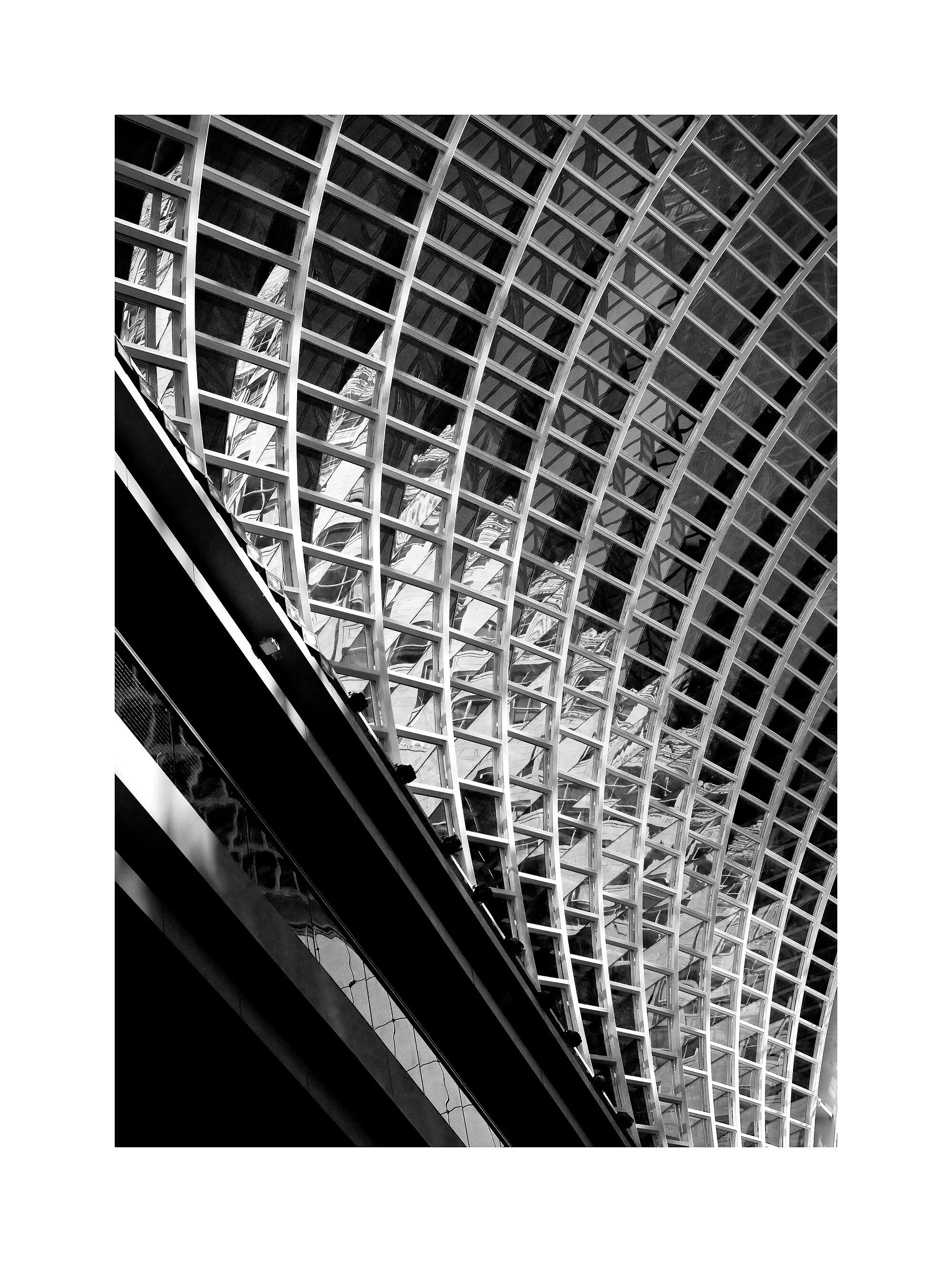 05124937_acr_b&w.jpg