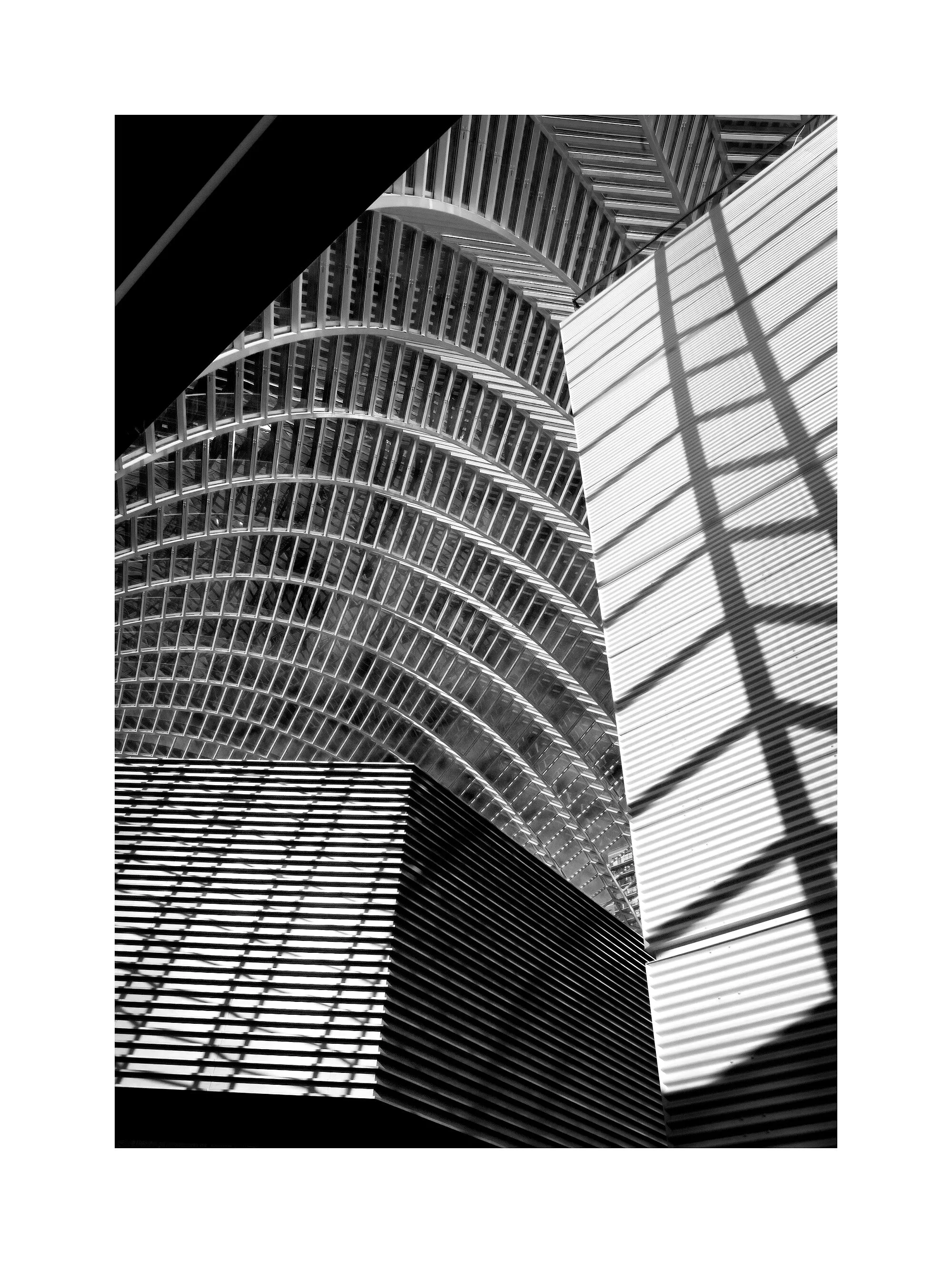05124943_acr_b&w.jpg