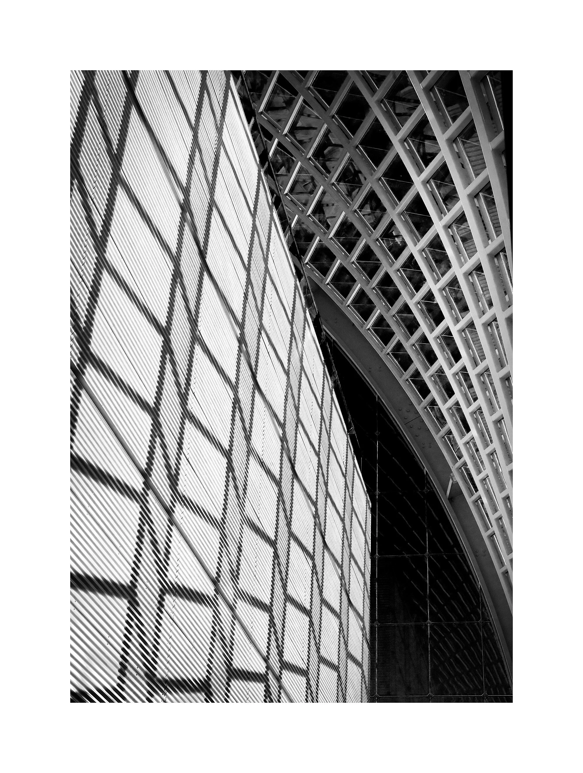 05124942_acr_b&w.jpg