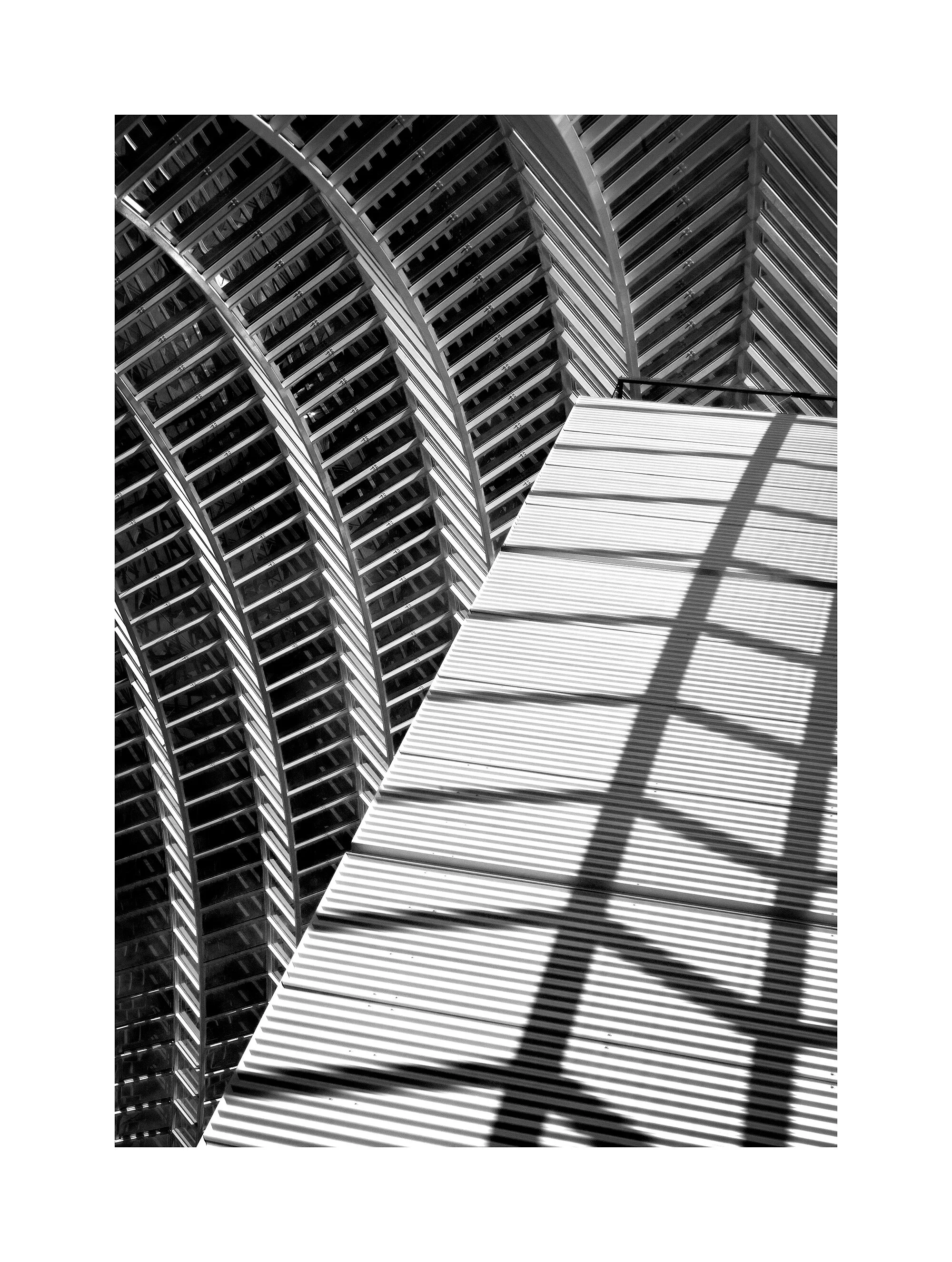 05124945_acr_b&w.jpg