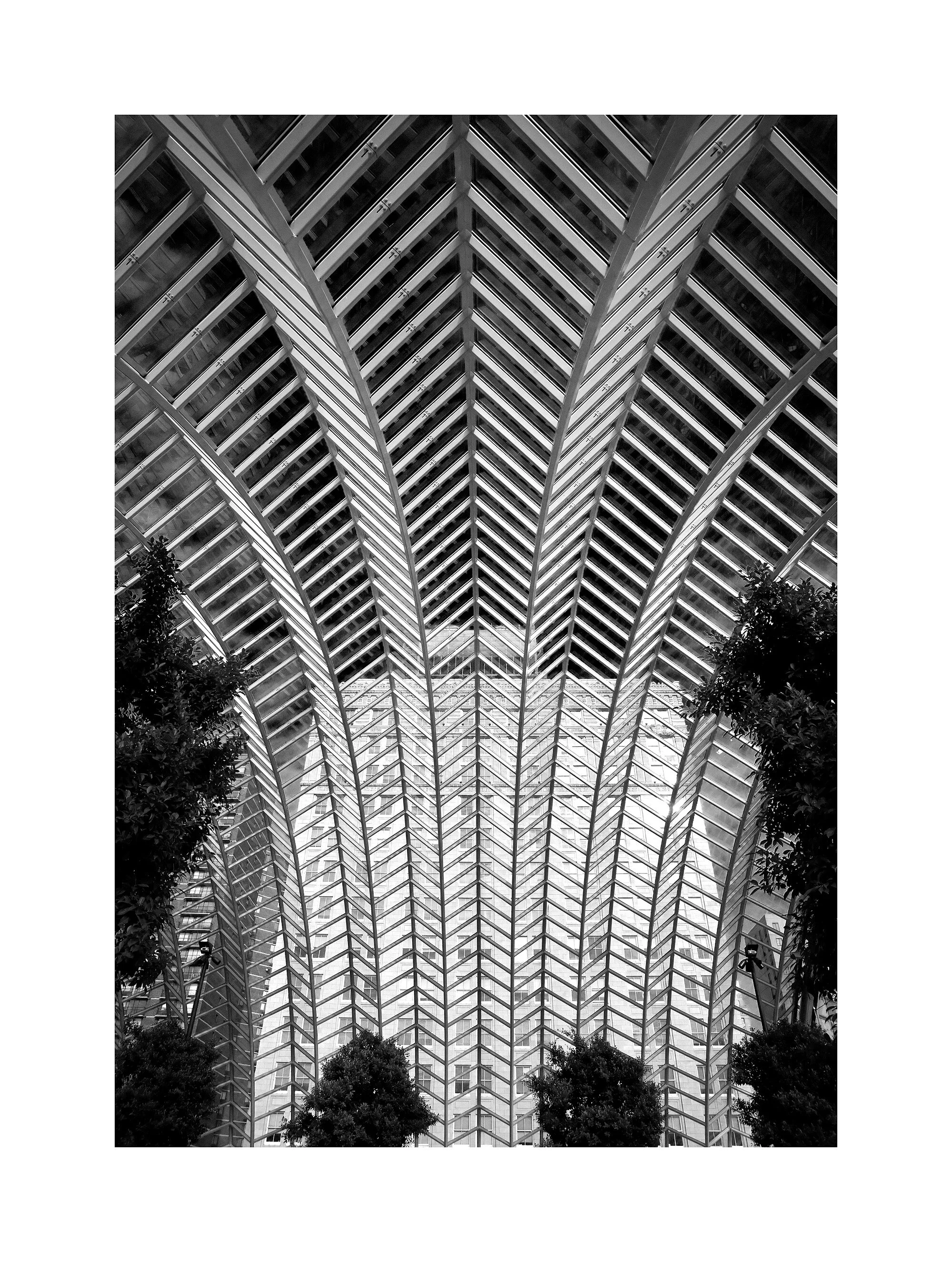 05124964_acr_b&w.jpg