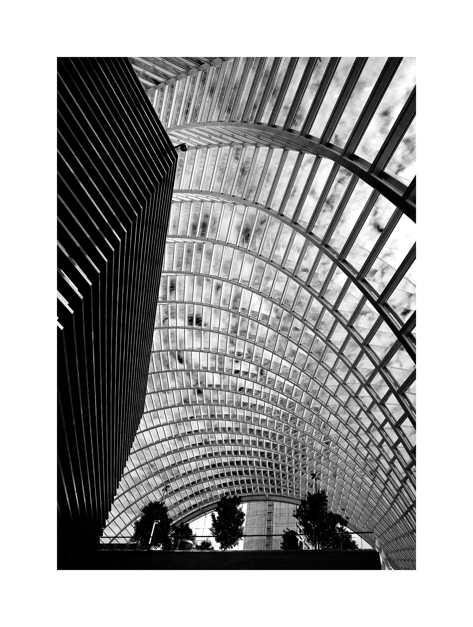 05124953_acr_b&w.jpg