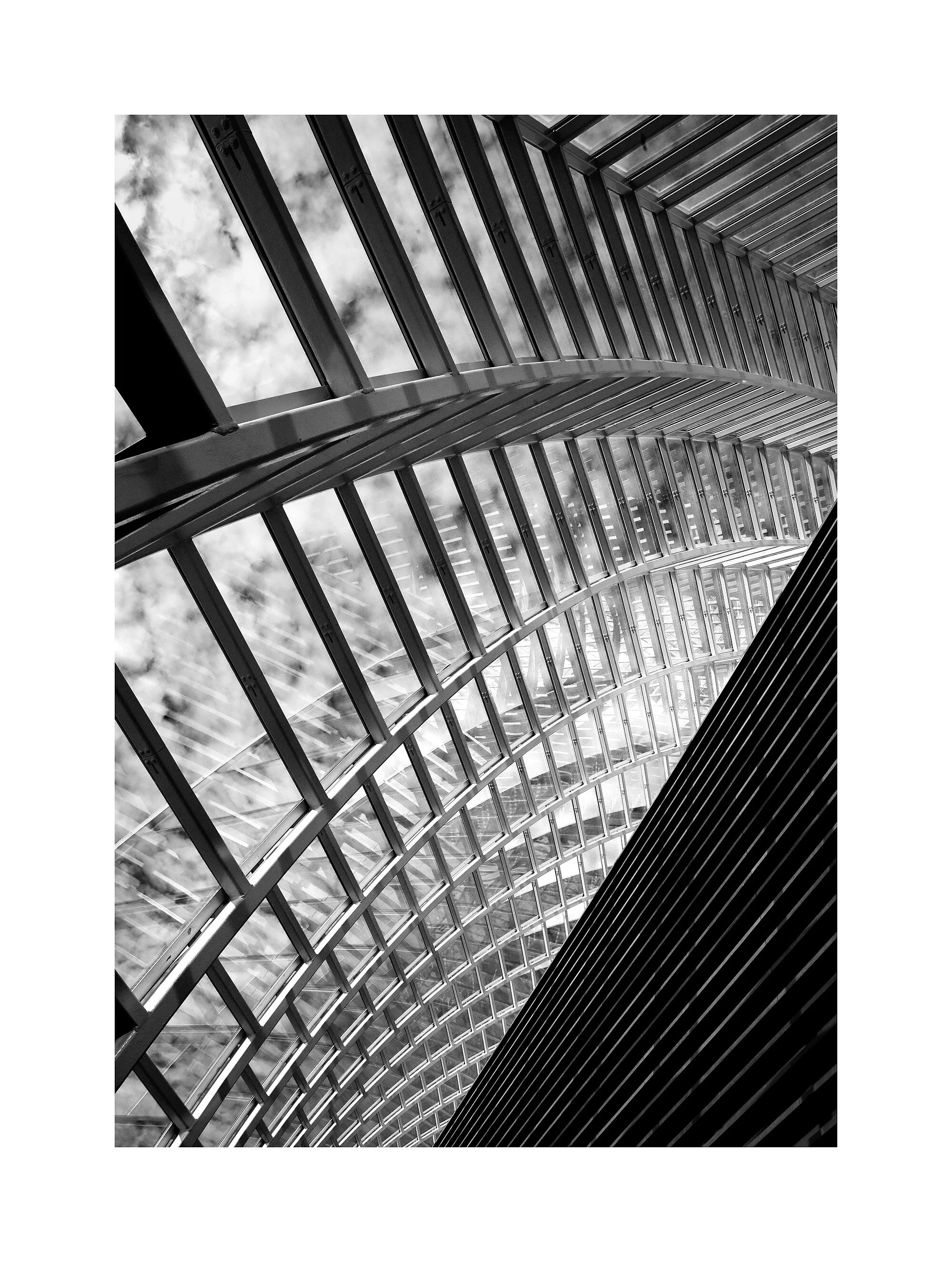 05124951_acr_b&w.jpg