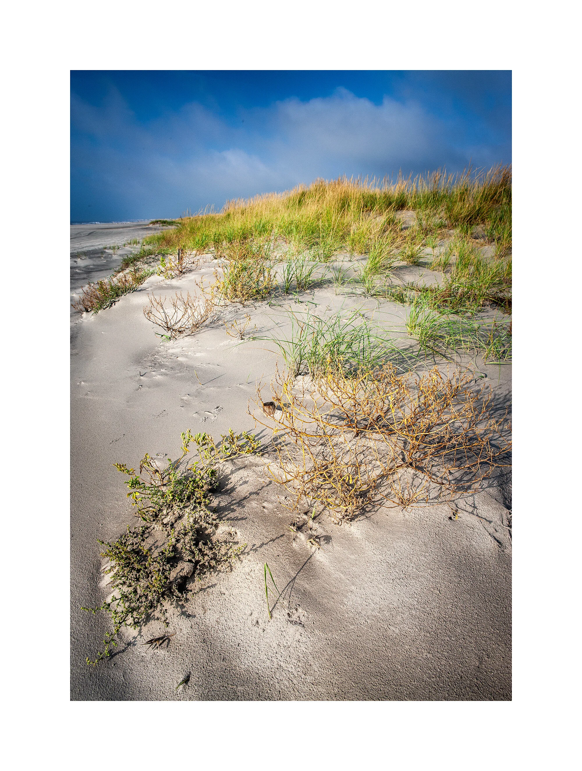 08091122_Raw.jpg