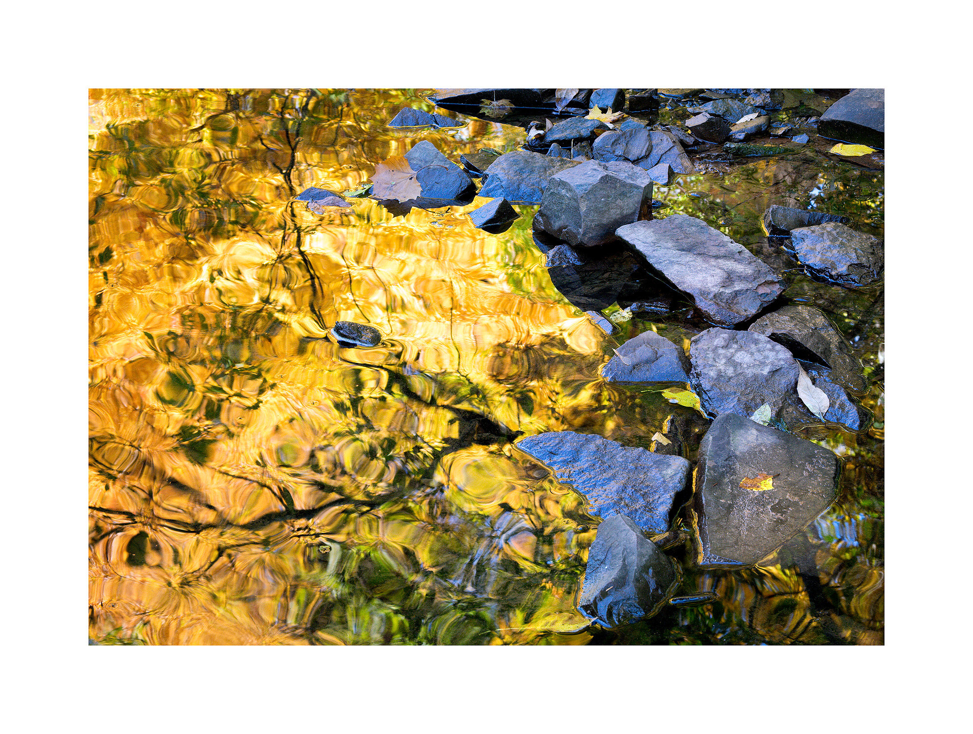14090452_IR_WEB_FujiXT1.jpg