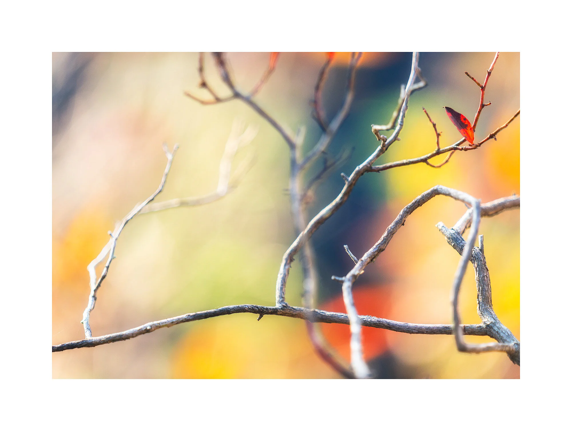 20102534_SonyA7R3_Master.jpg