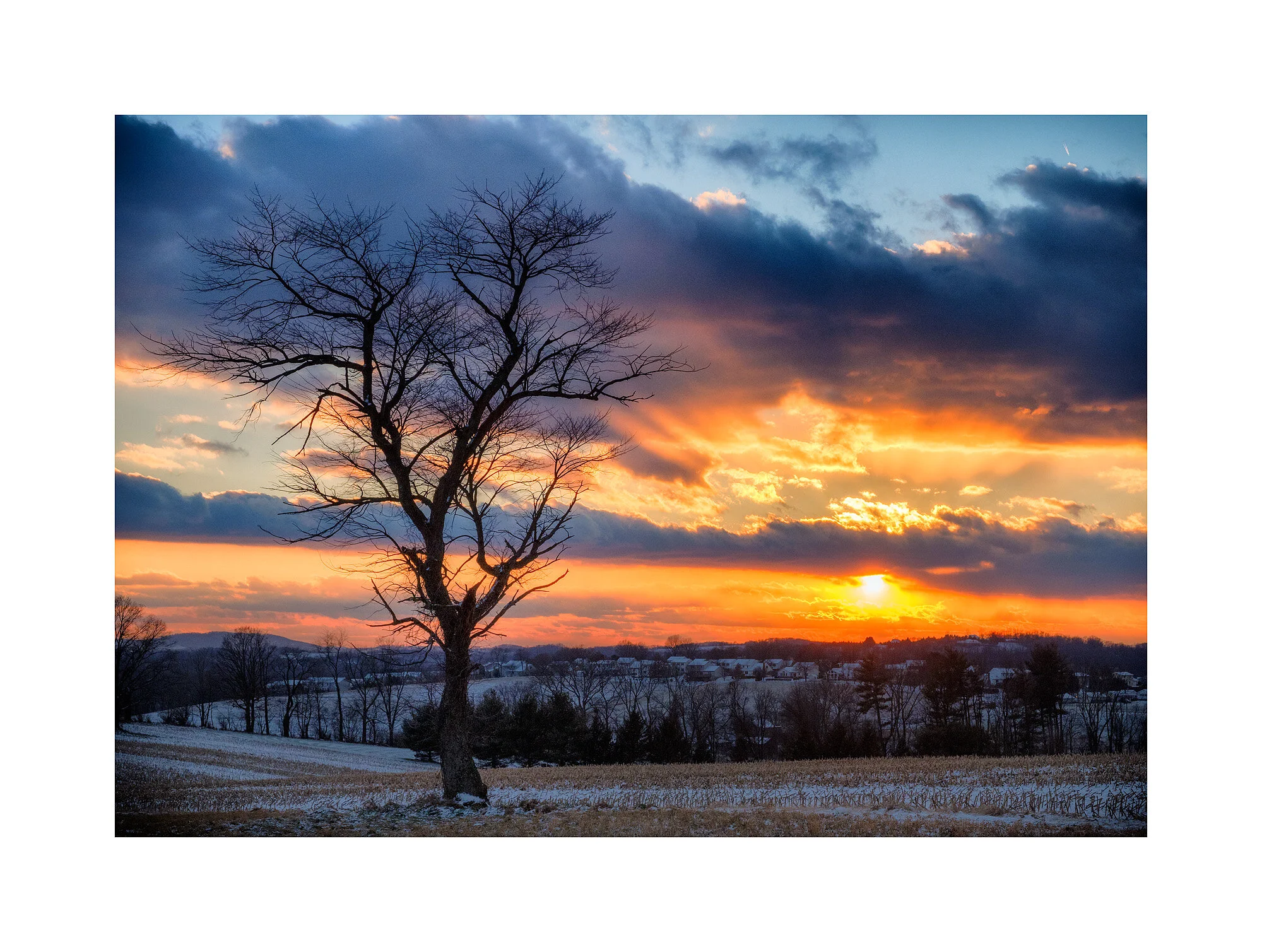 17121656_FujiXT2_Webglow.jpg