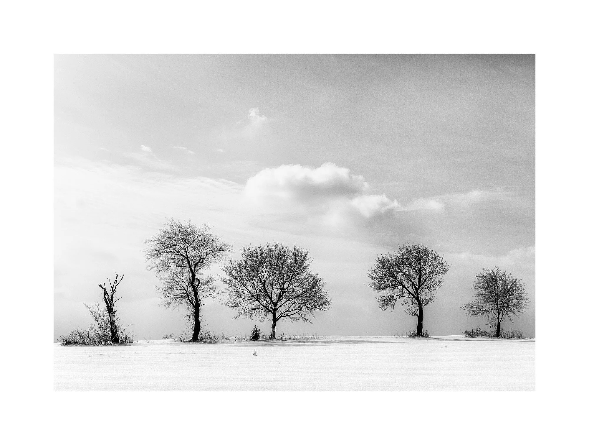 11014149_BWMaster.jpg