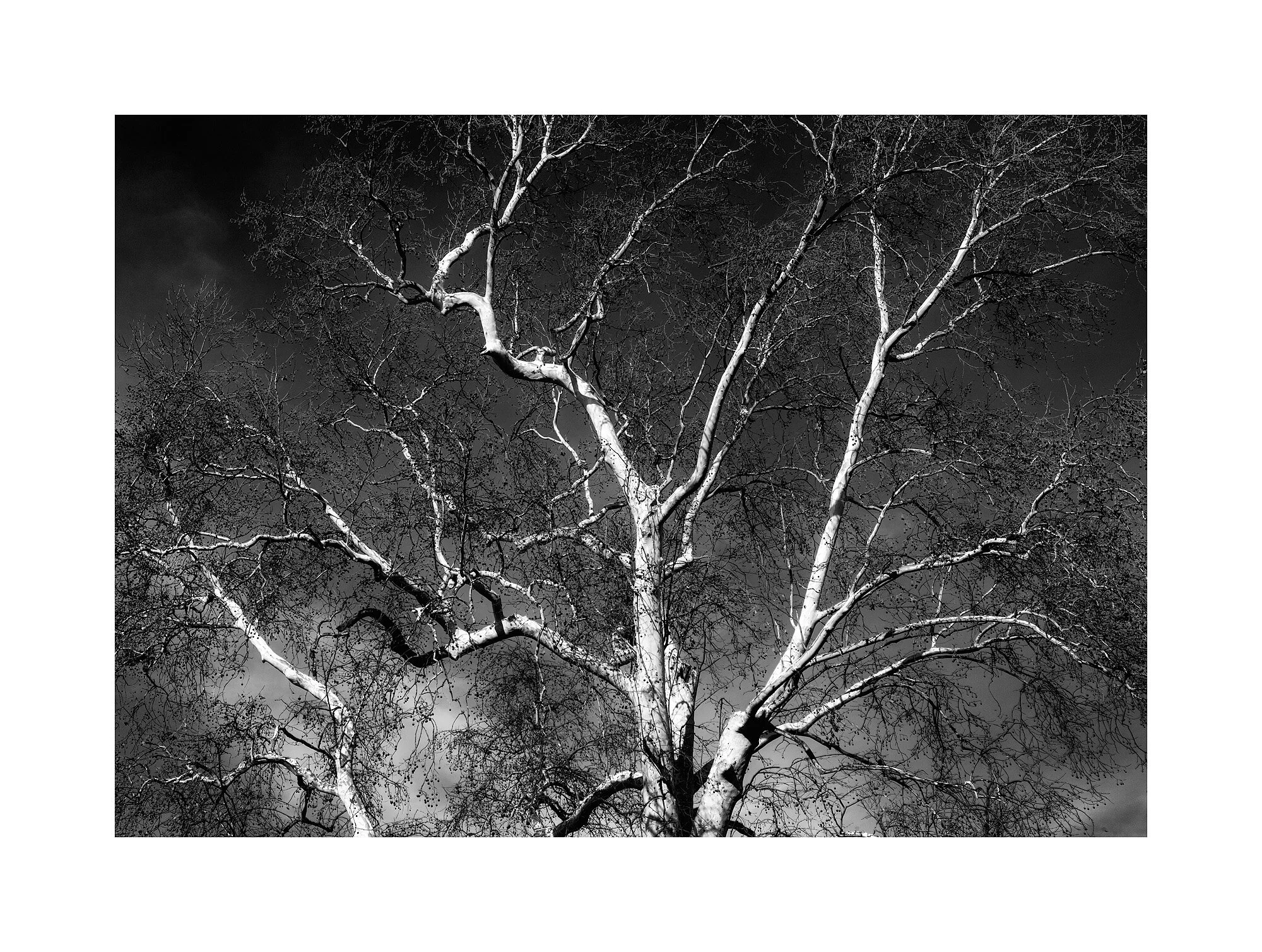 15118947_BWMaster.jpg