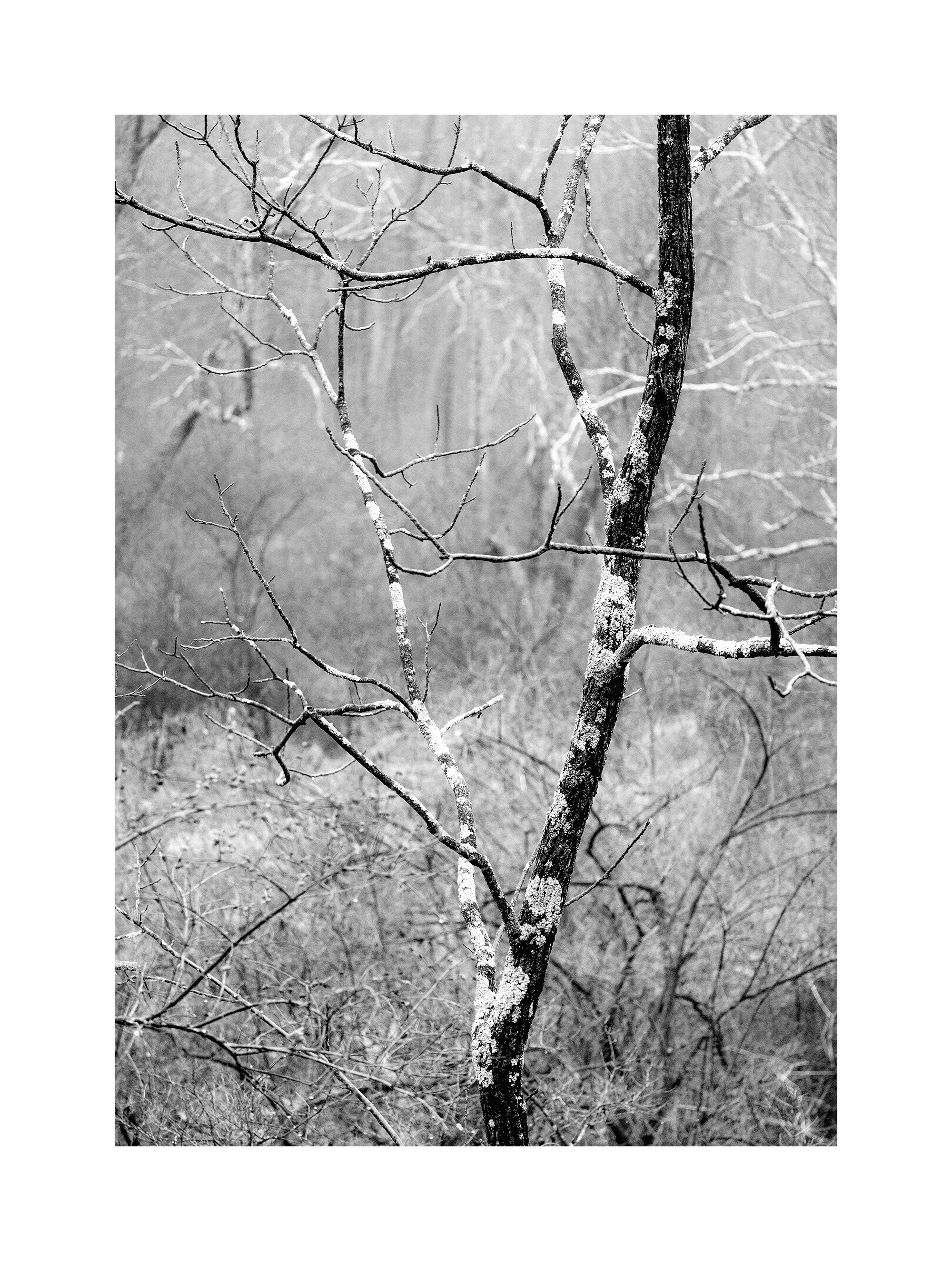15122367_FujiXT1_BWMaster.jpg