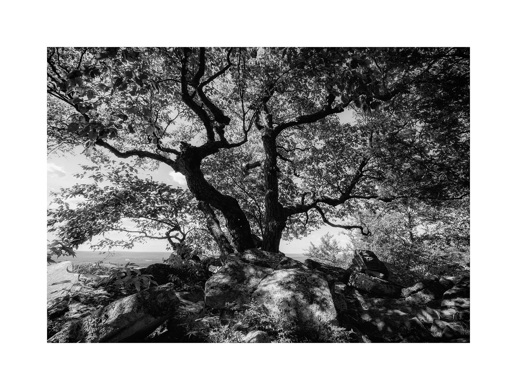 16063013_FujiXT1_BWMaster.jpg