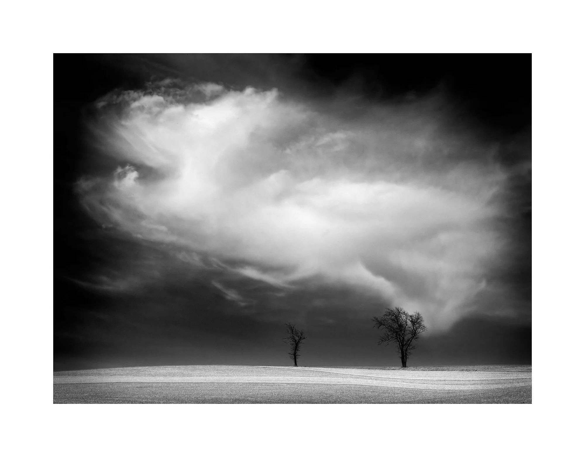 05042992_BWMaster2_ CROP.jpg