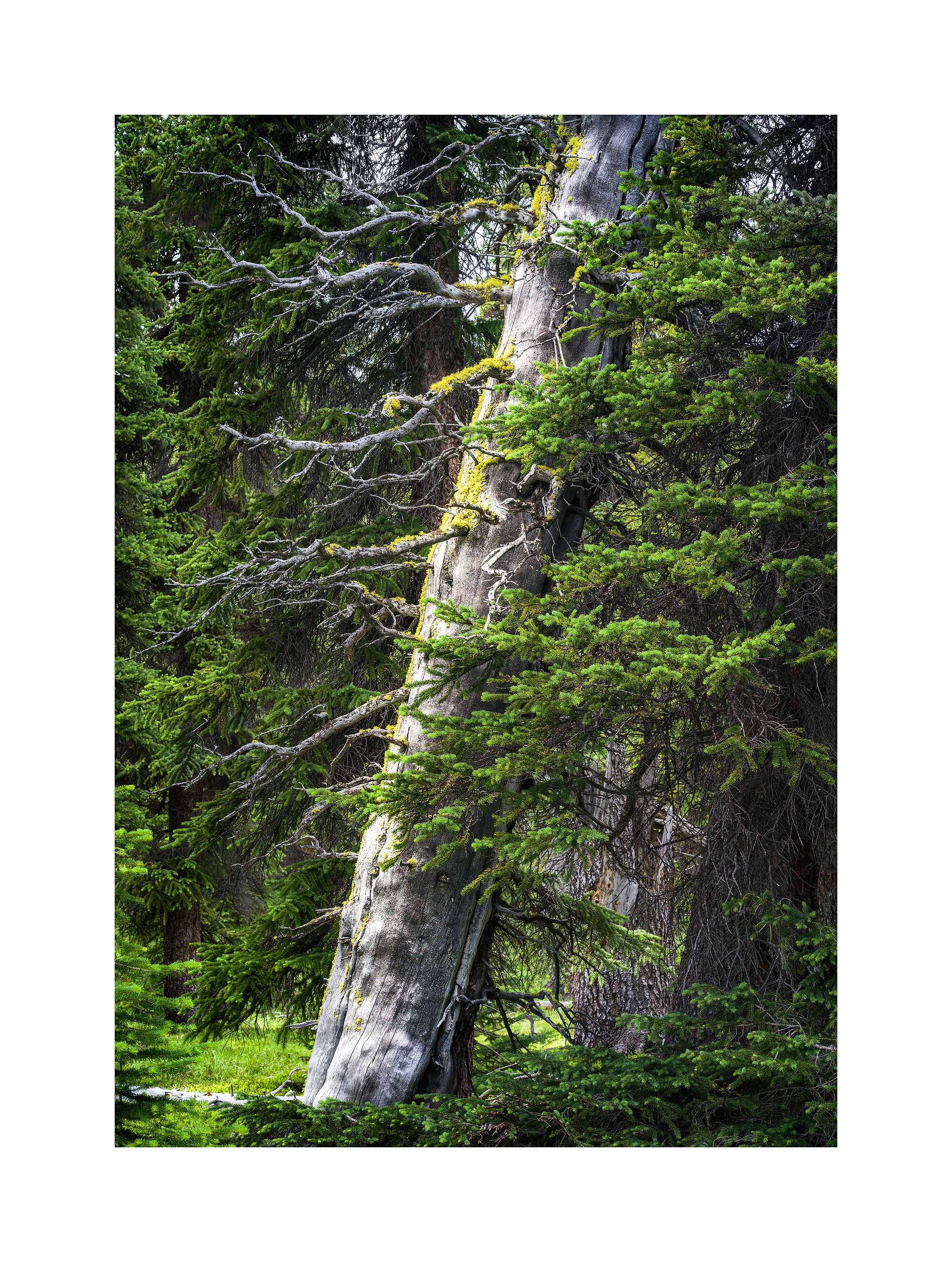 19070635_SonyA7R3_Raw_Edit.jpg