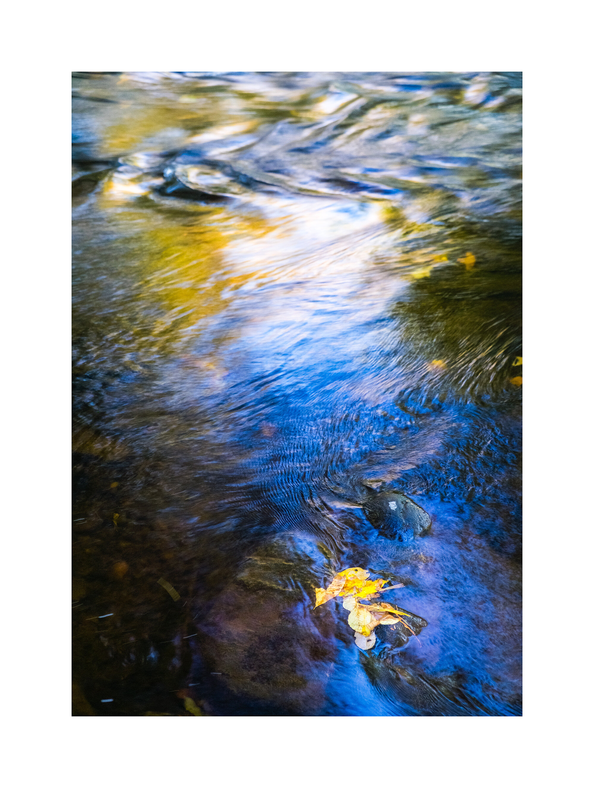 15101831_FujiXT1_Edit.jpg