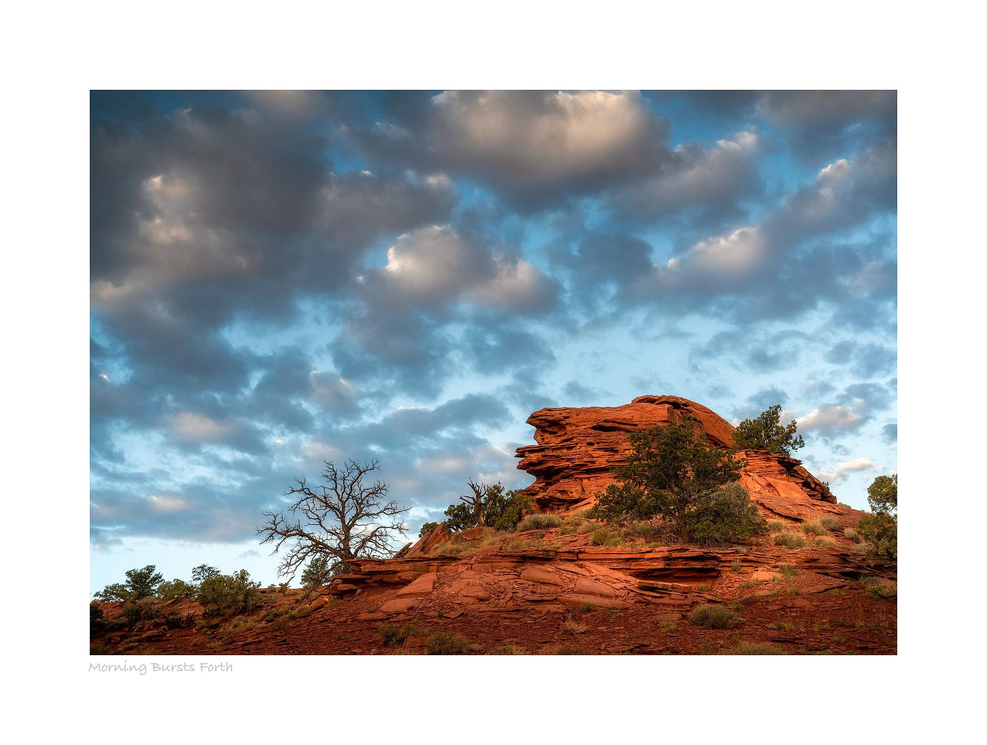 21093747_SonyA7R3_Raw_Edit.jpg
