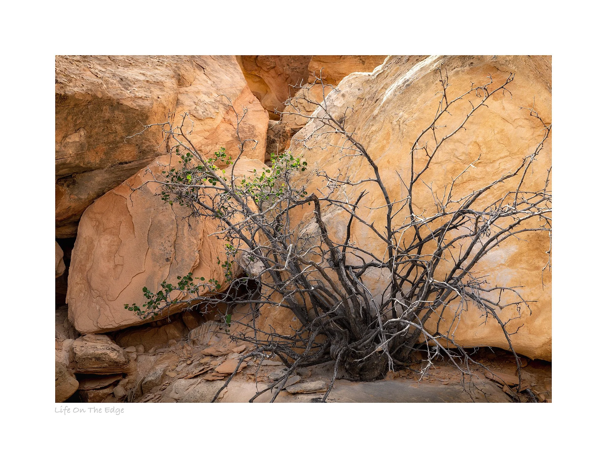 21093717_SonyA7R3_Raw_Edit.jpg