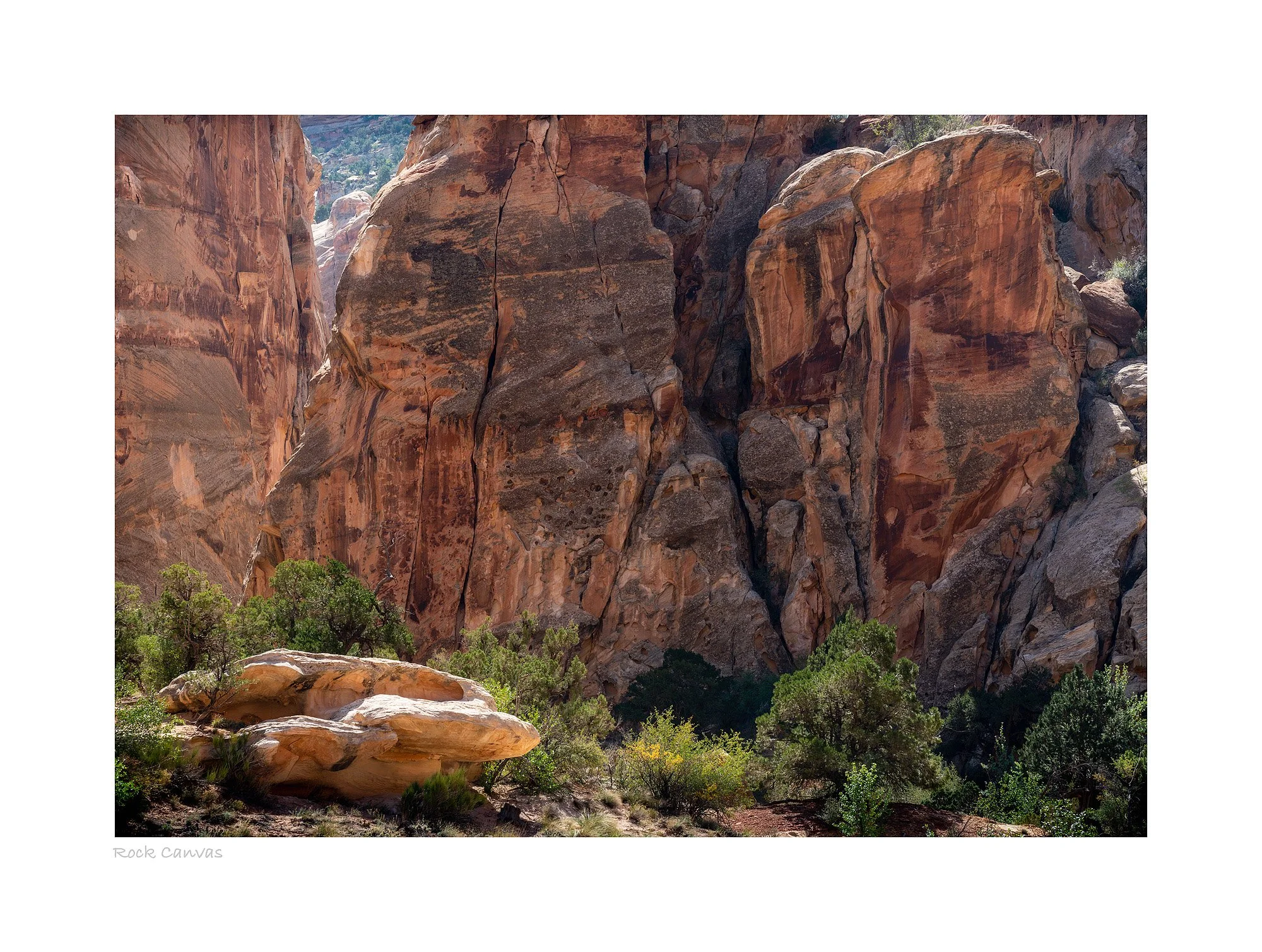 21093826_SonyA7R3_Raw_Edit.jpg
