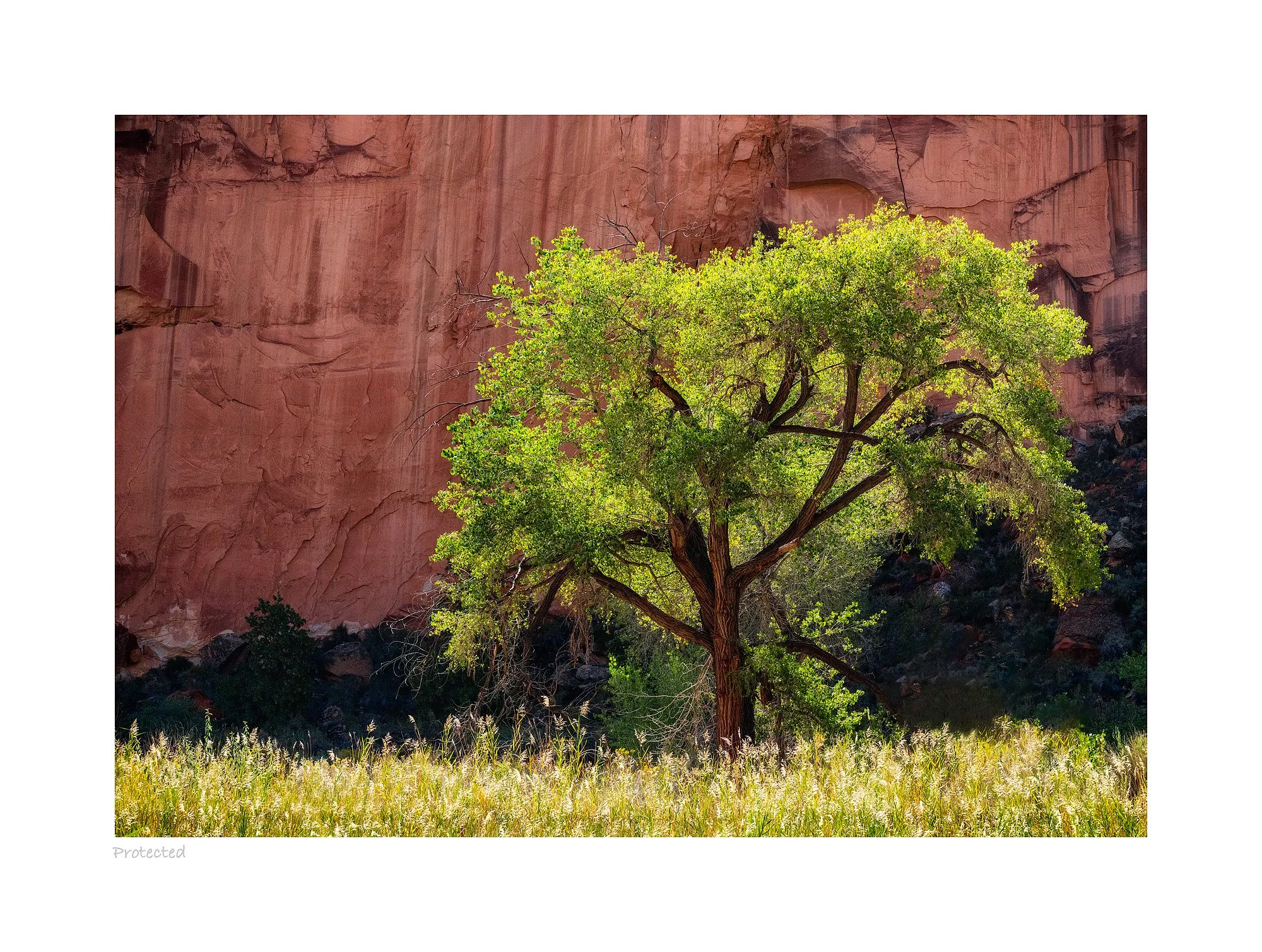 21093821_SonyA7R3_Raw_Edit.jpg