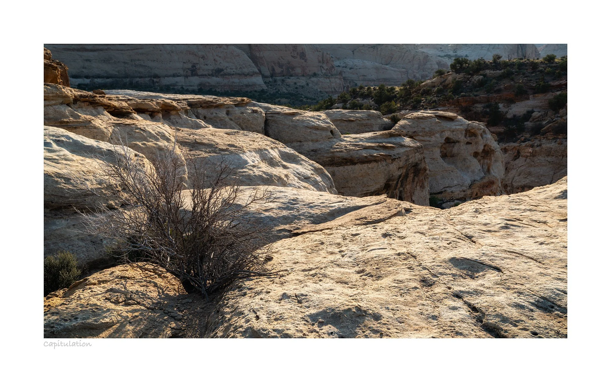 21094133_SonyA7R3_Raw_Edit.jpg