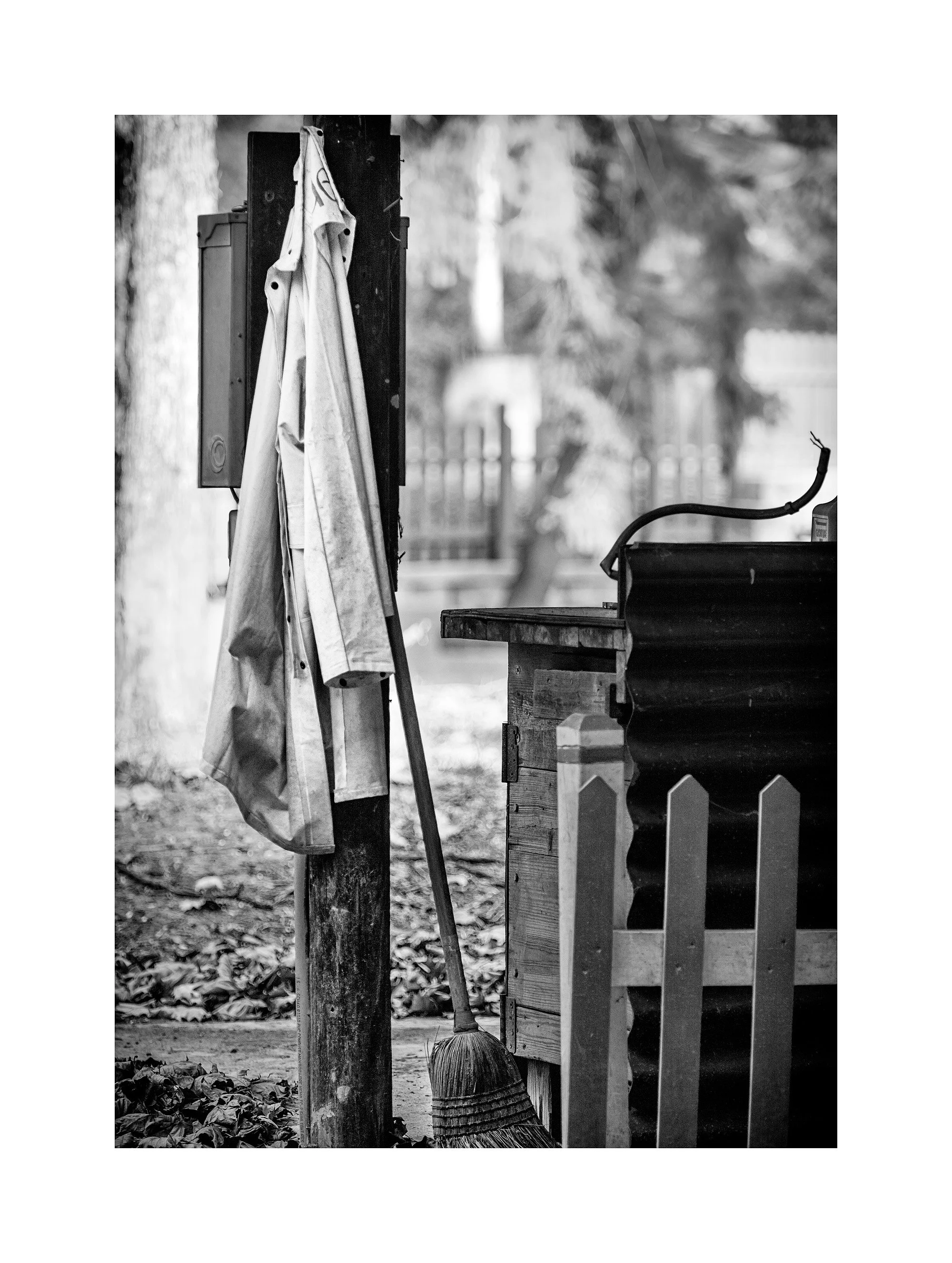 11114570_acr_bw_ALT_web.jpg