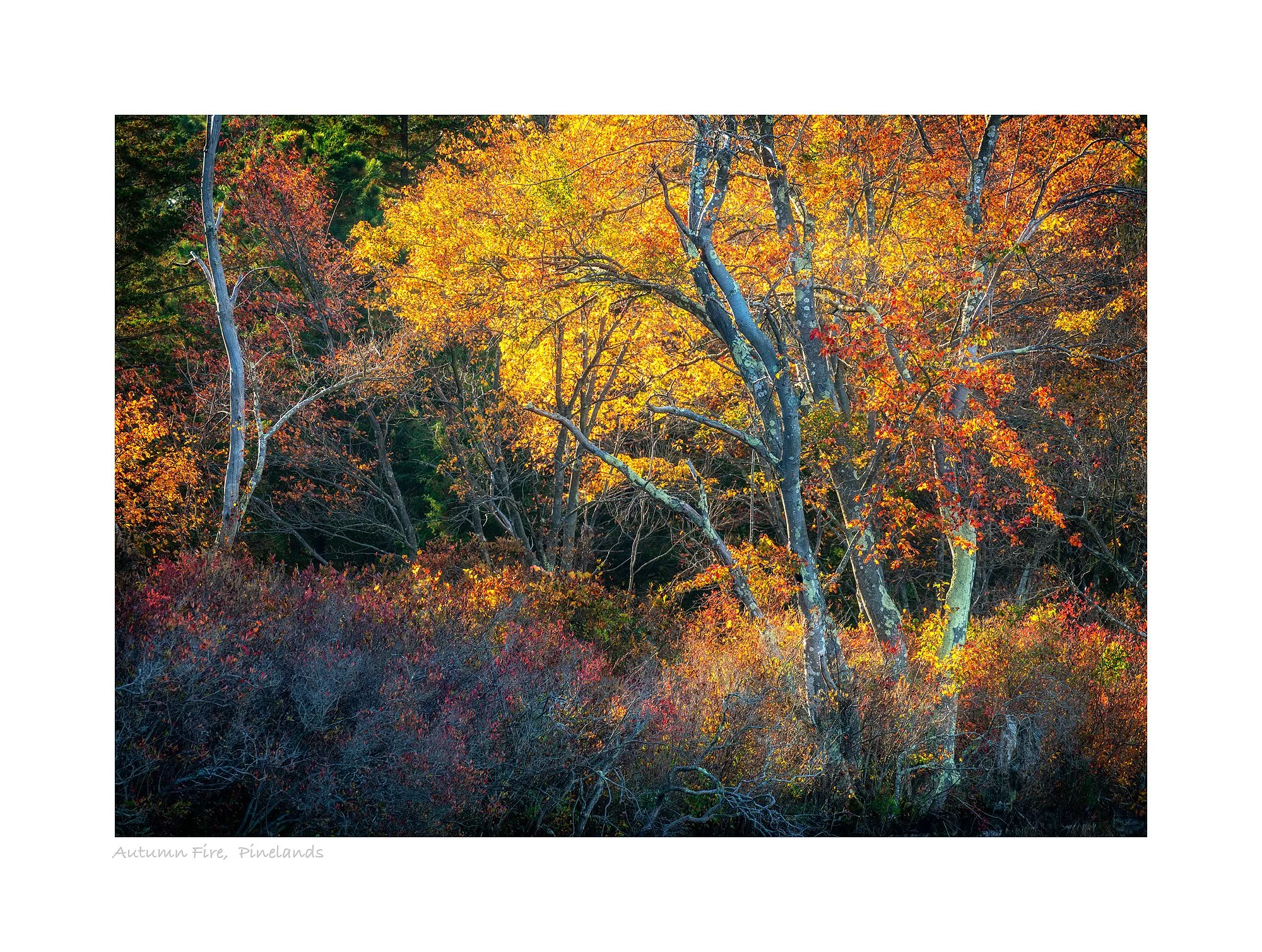 20083223_SonyA73_Master.jpg