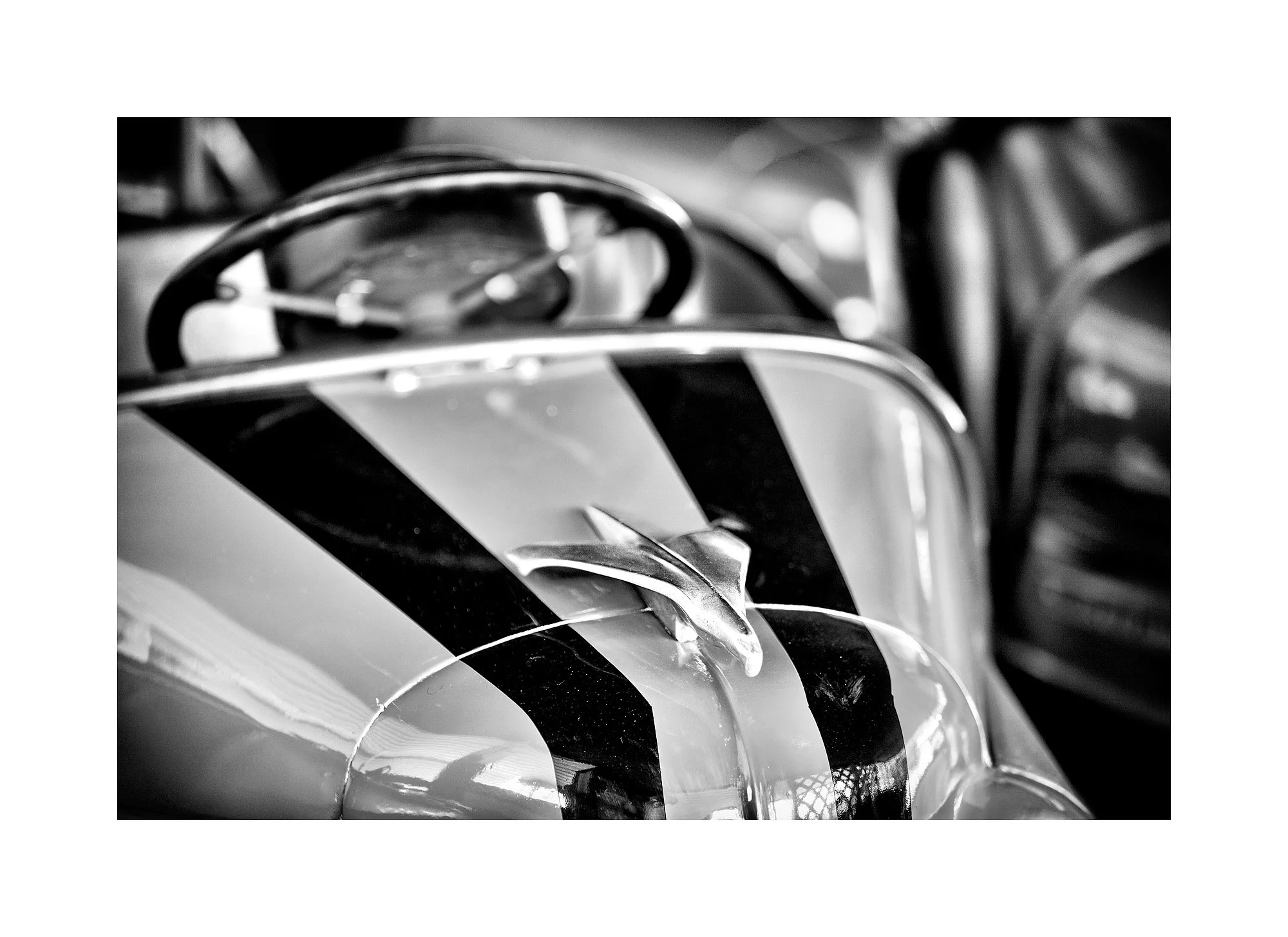 13035871_acr_bw_web.jpg