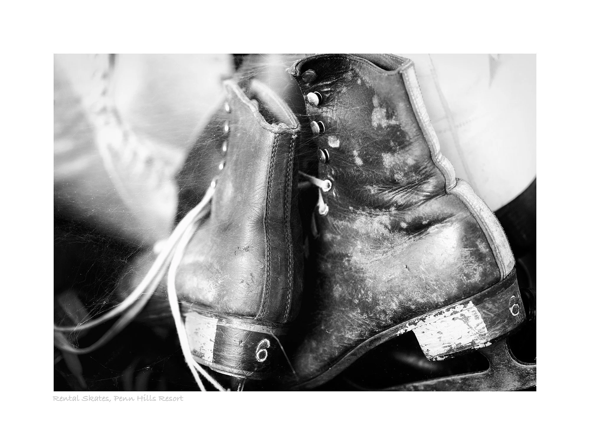 12105564_bw.jpg