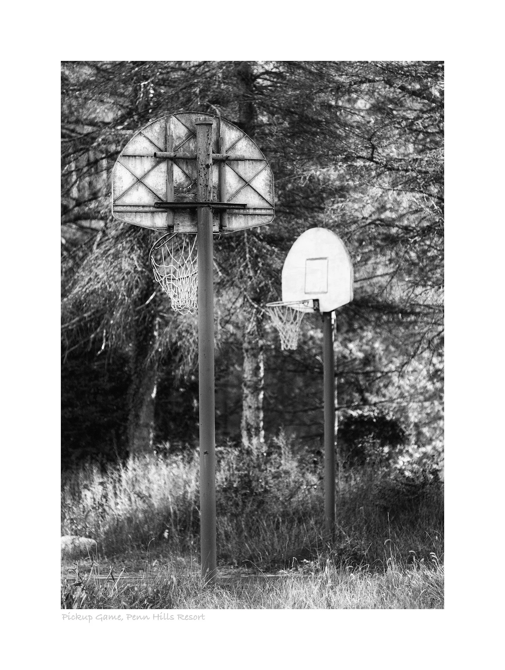 12105543_acr_bw.jpg