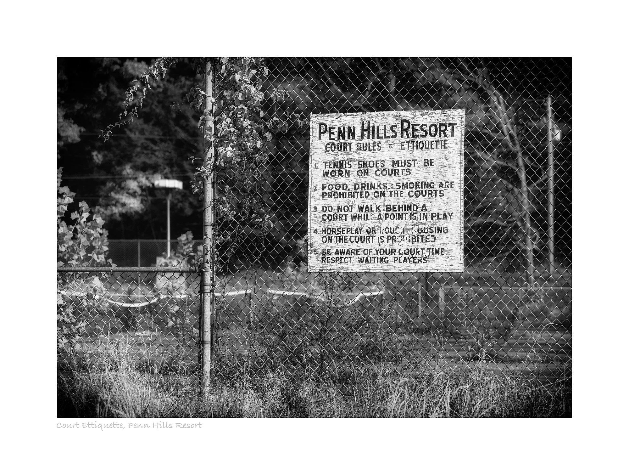12105535_acr_bw_webglow.jpg