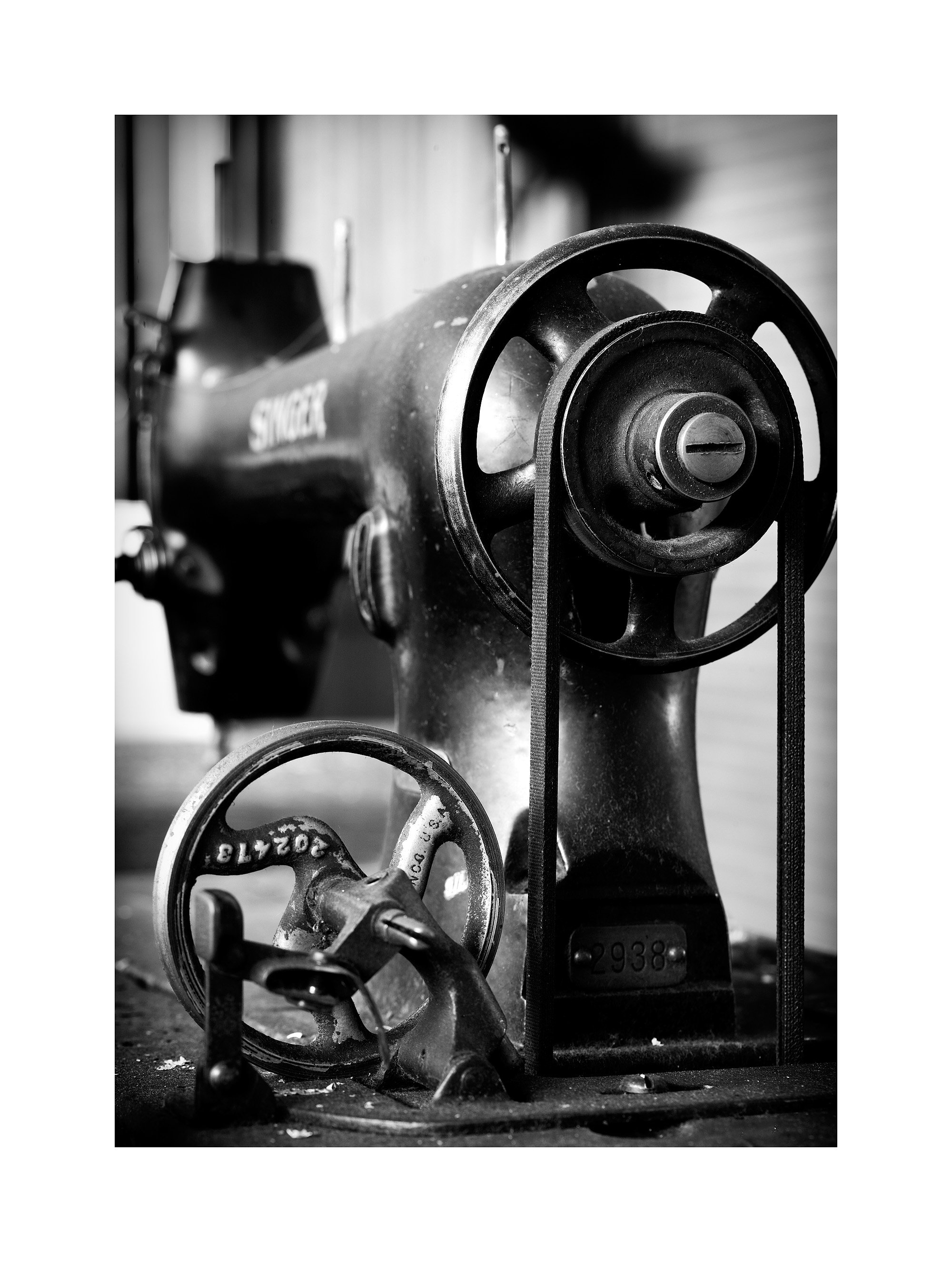 11064283_acr_bw_web.jpg