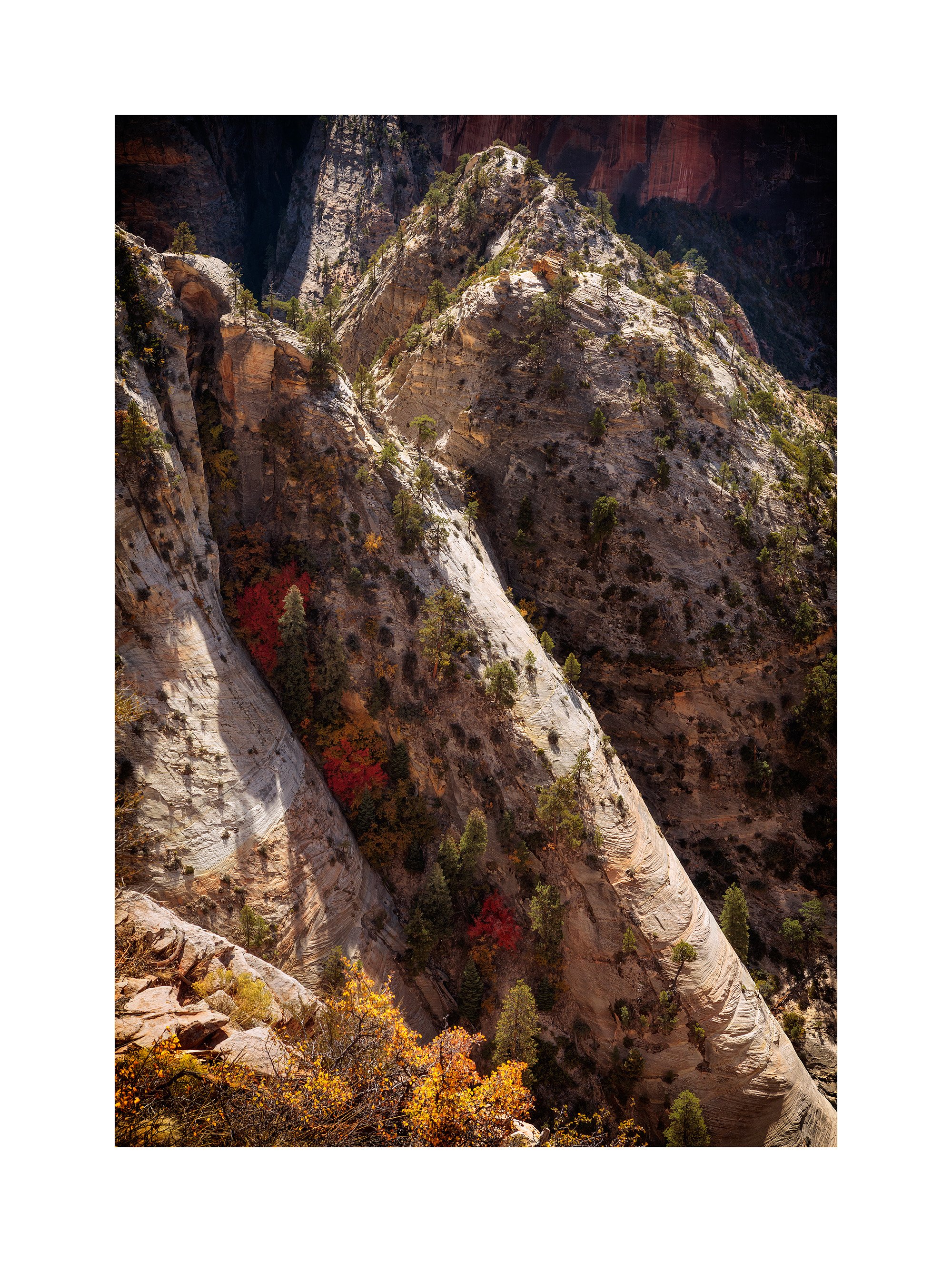 17101555_acr_webglow.jpg